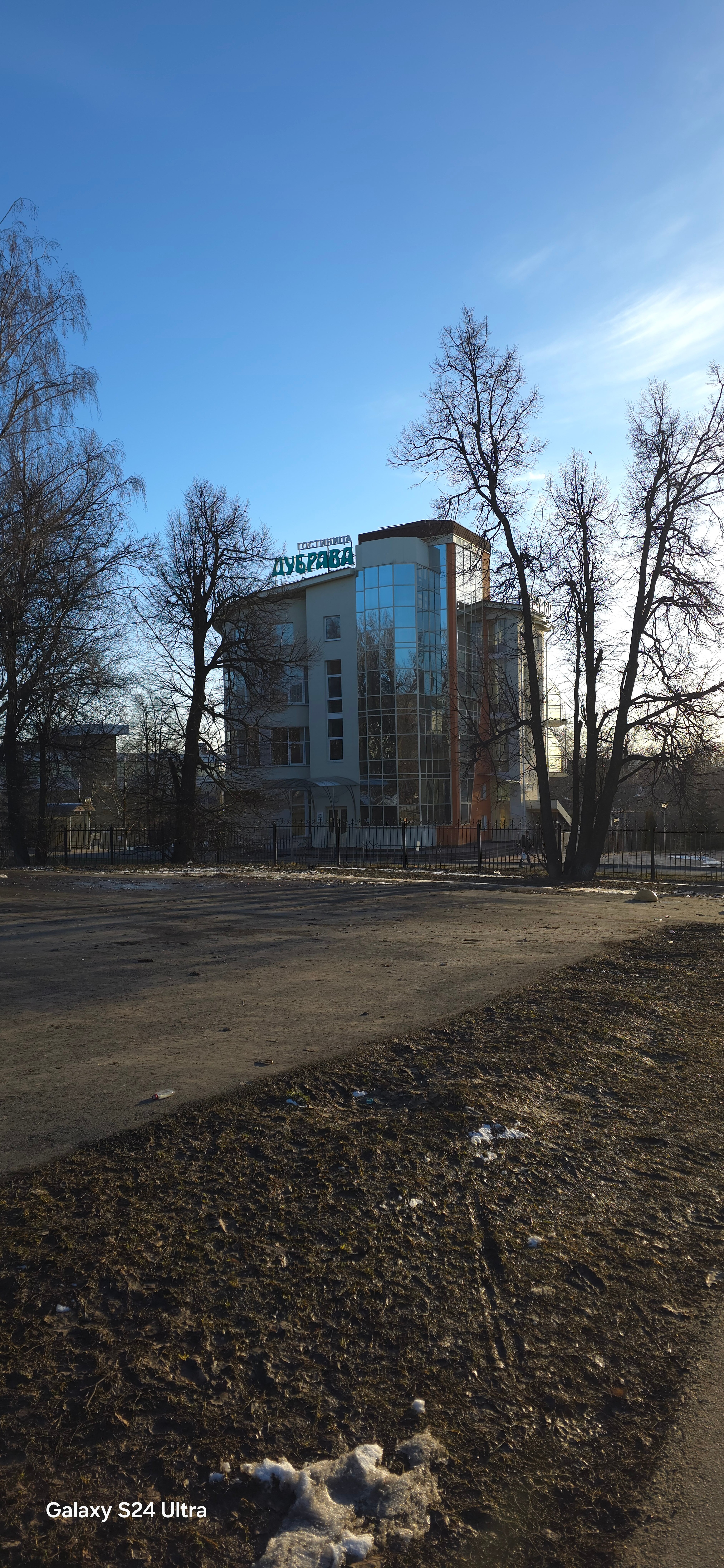 Фото Дубрава