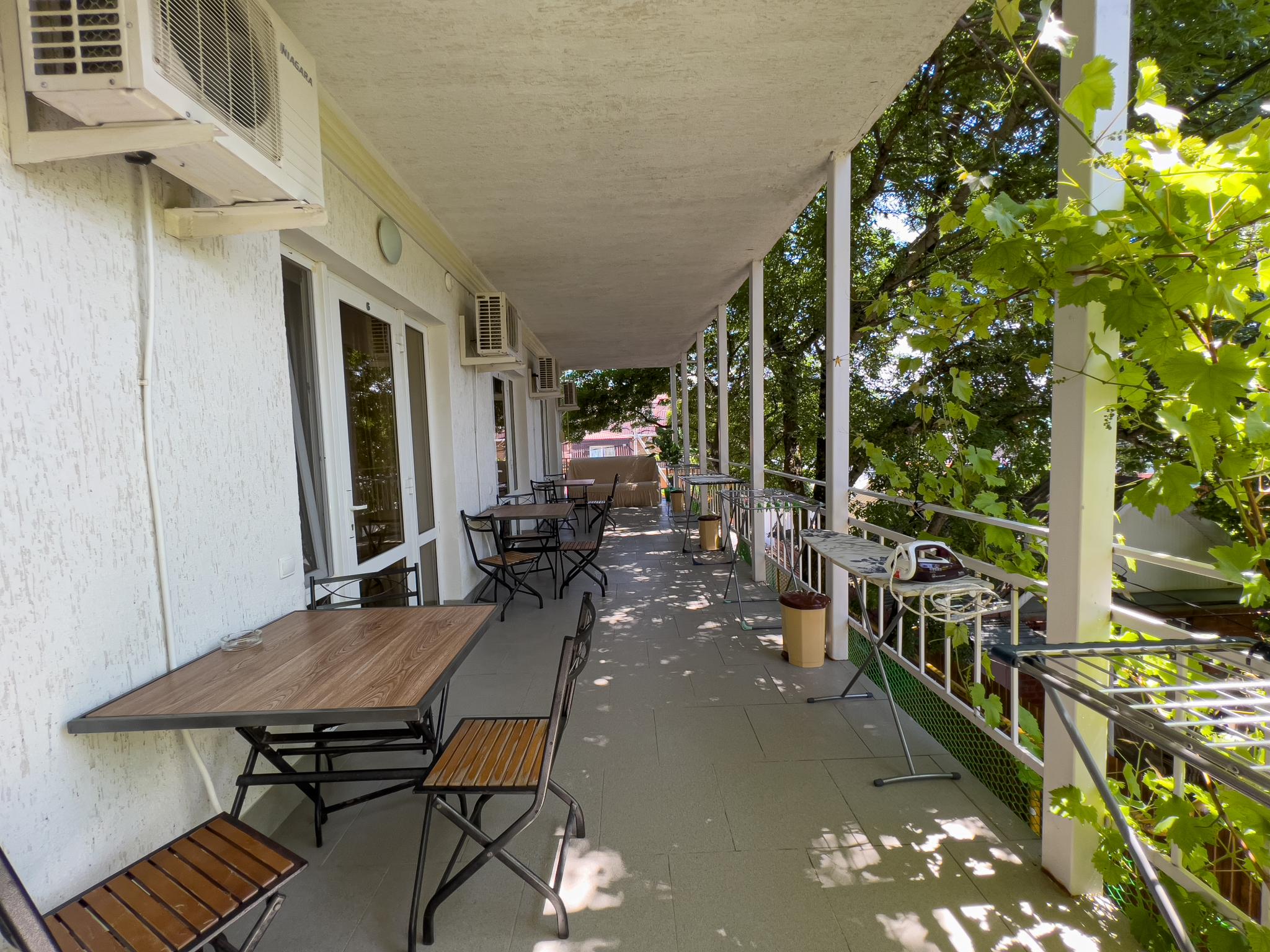 Фото Дельфин на Черноморской