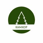 Камкор (Sovetskaya Street, 1/5), landscape design