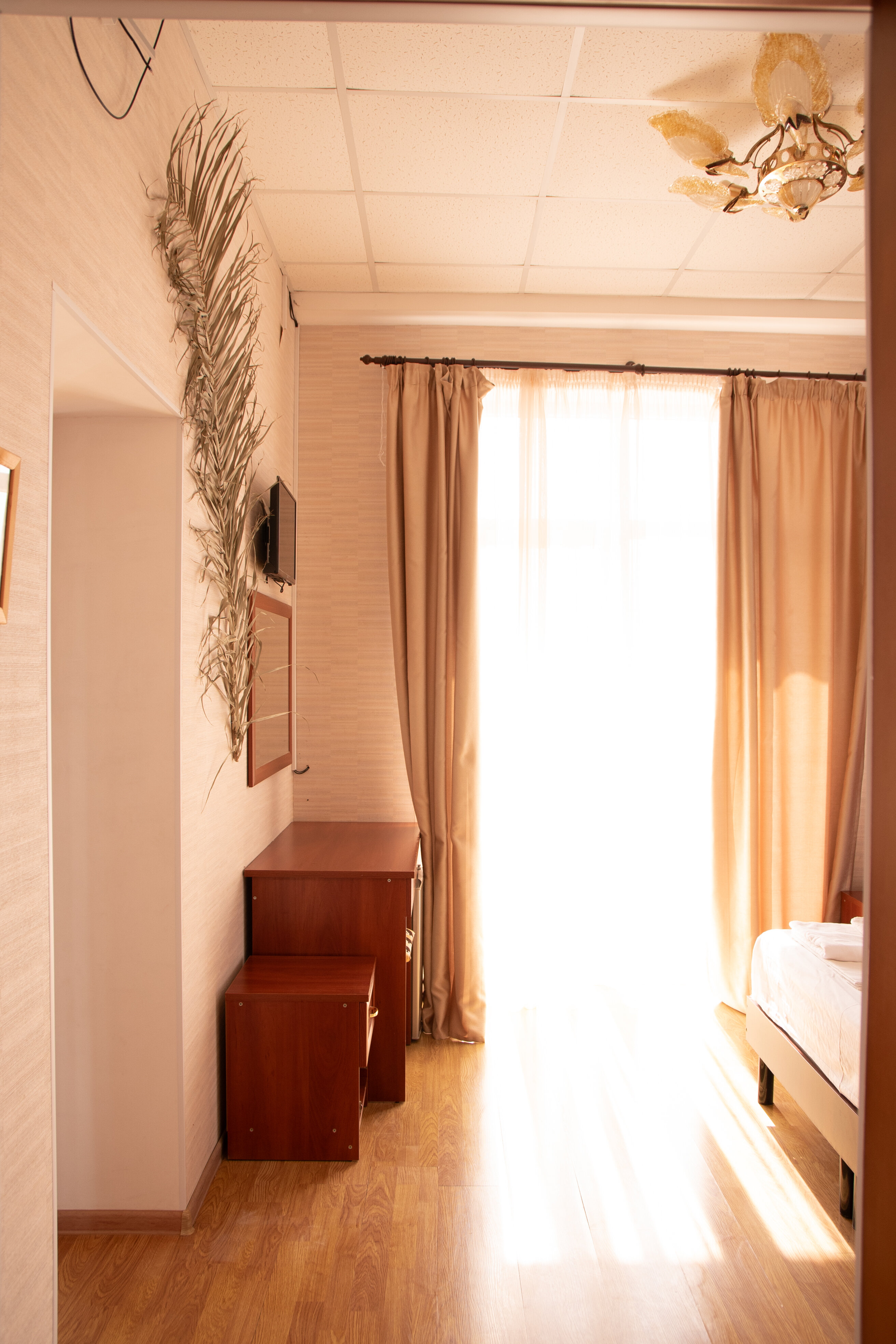 Фото Море и Пальмы