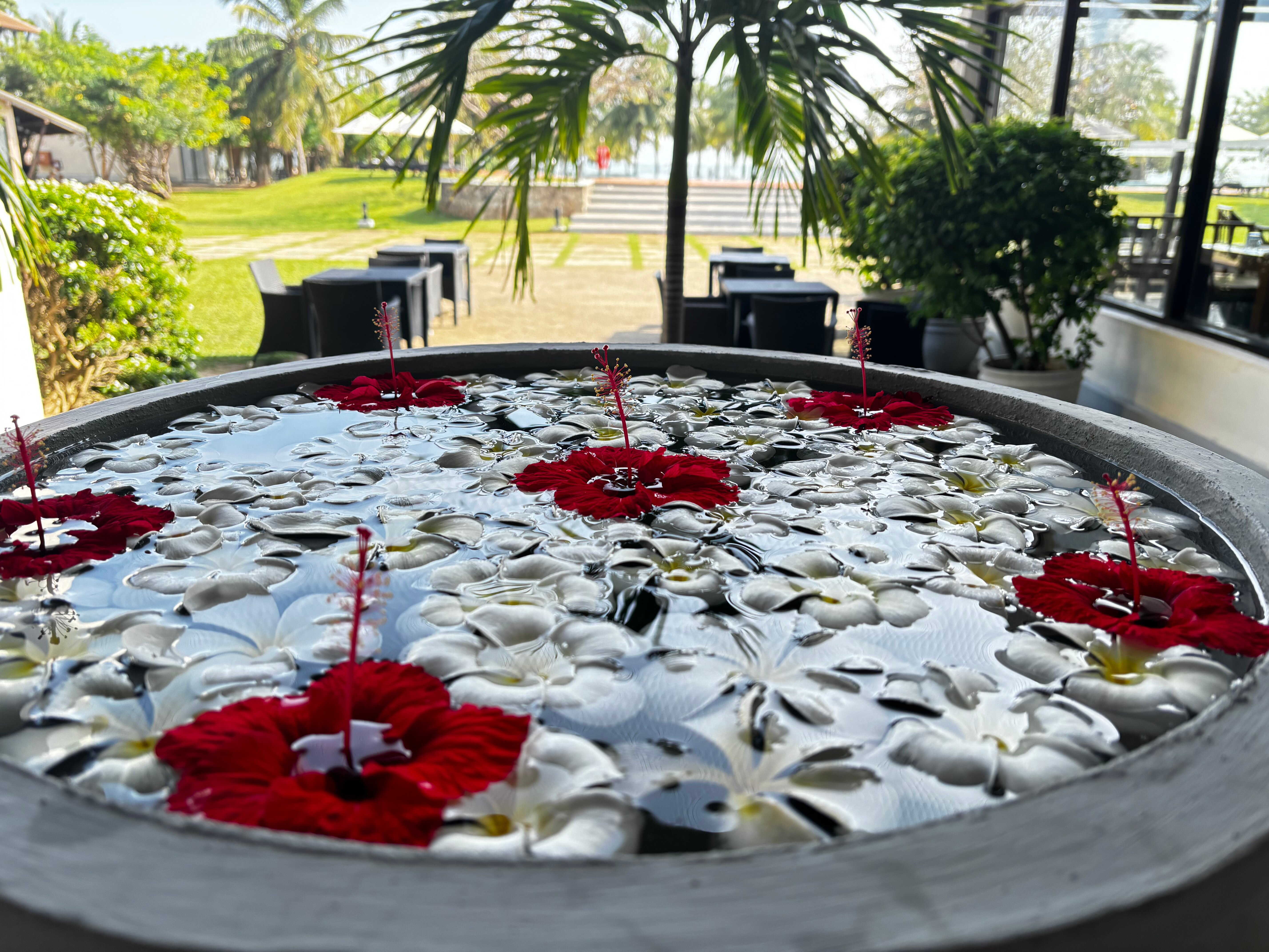 Фото Maalu Maalu Resort & SPA Pasikuda