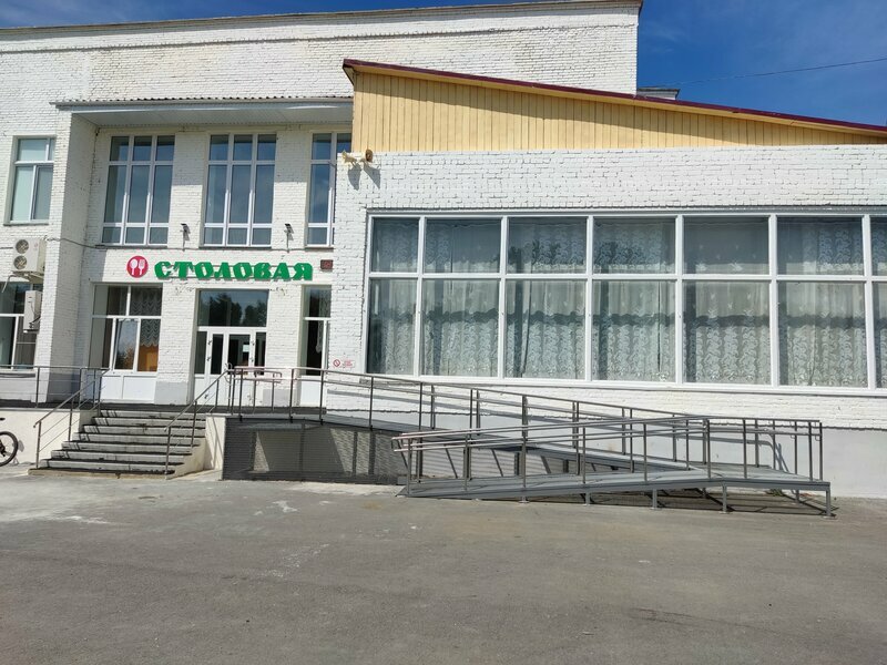 Фото Сосновая роща