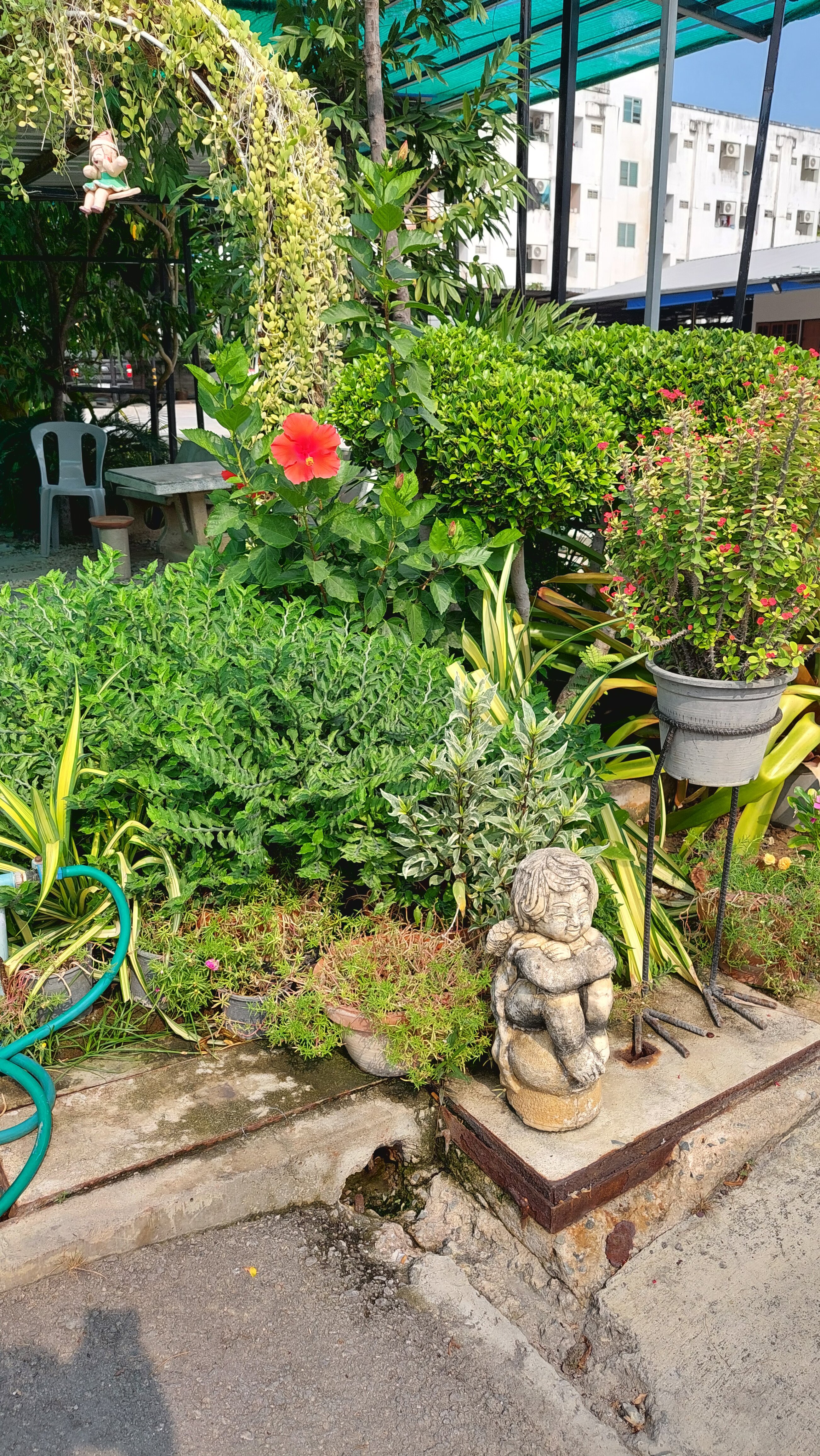 Фото Shambhala Hotel Pattaya