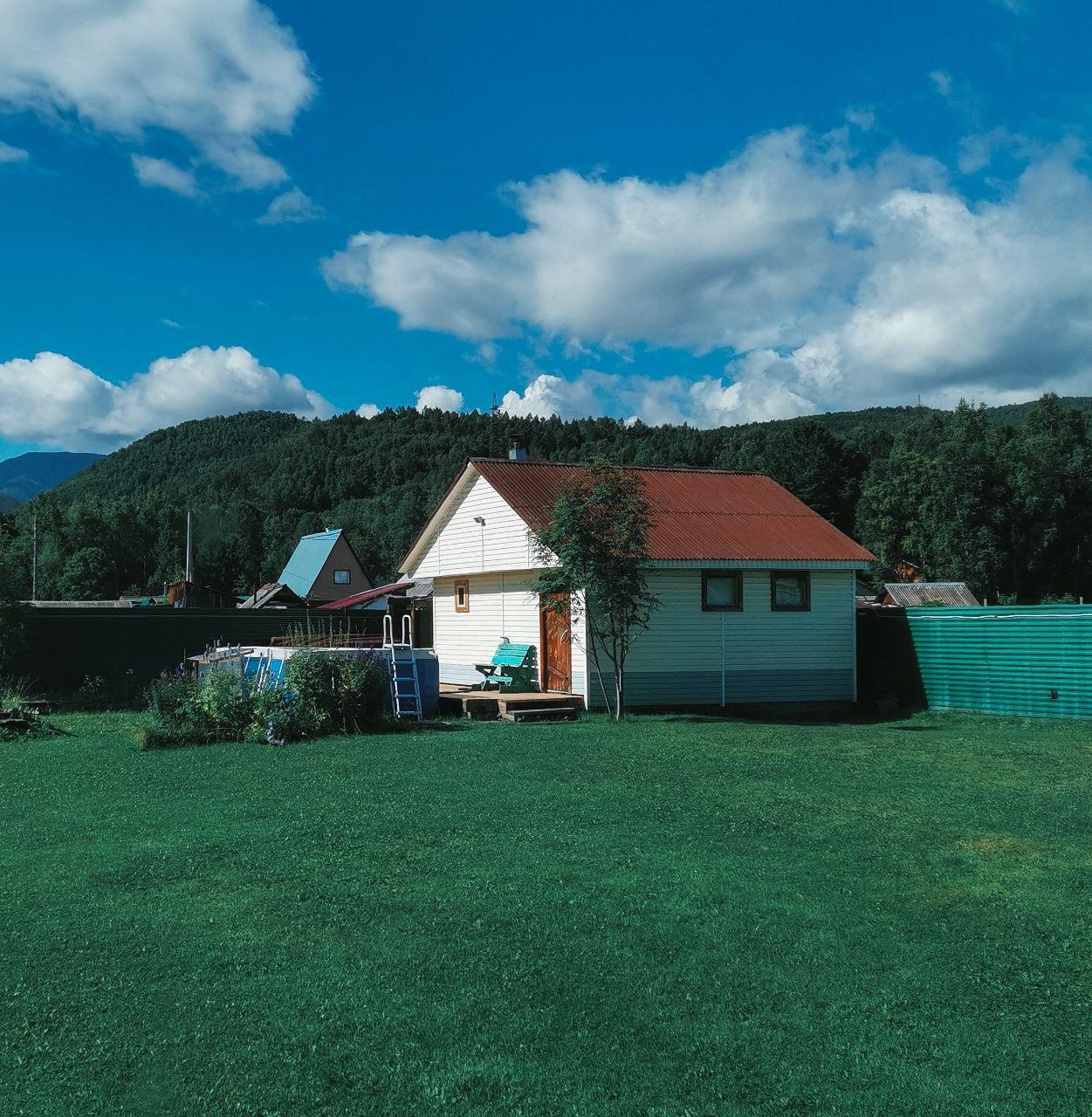 Фото Рыжая сова