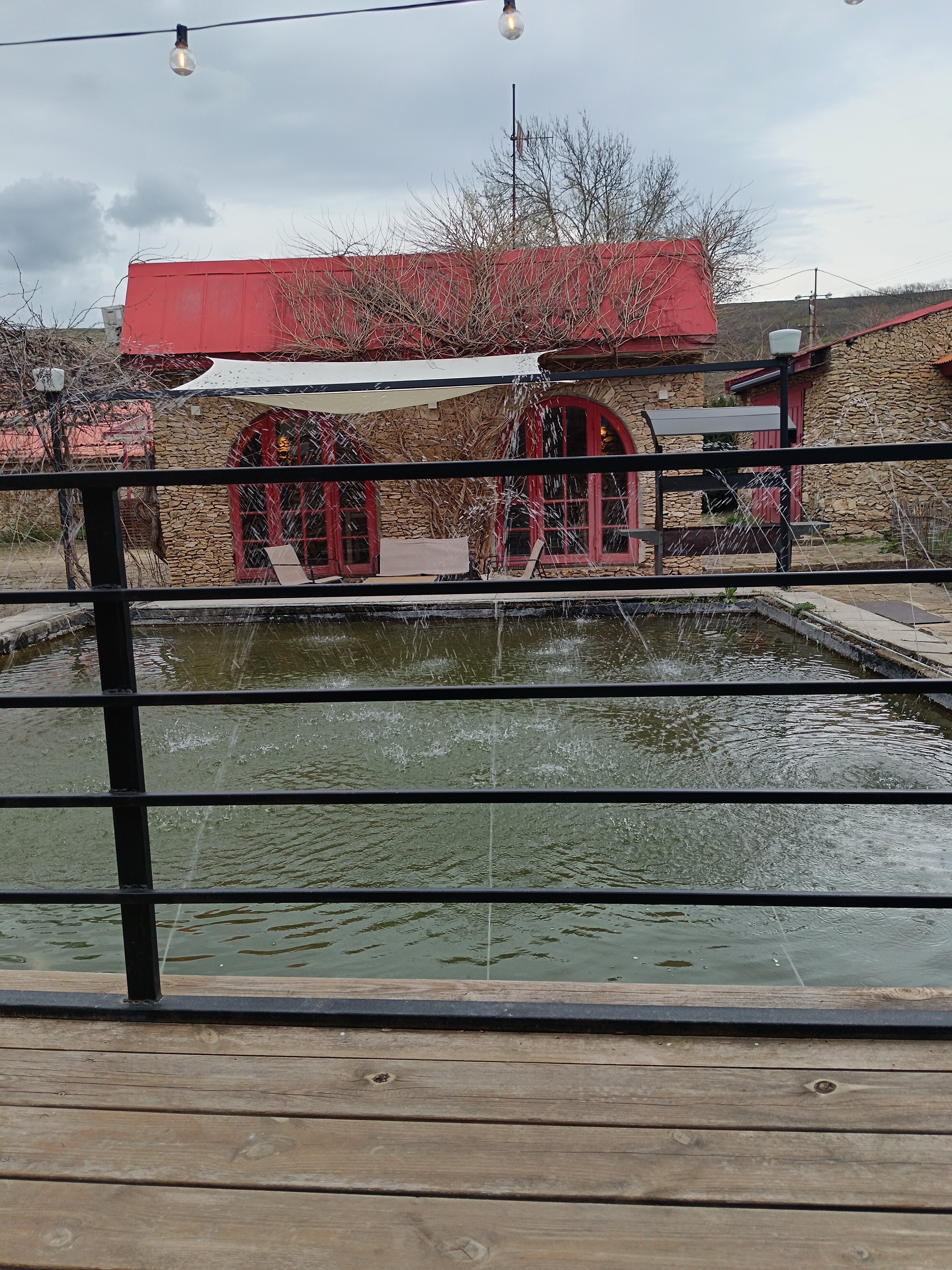 Фото Тихий пруд