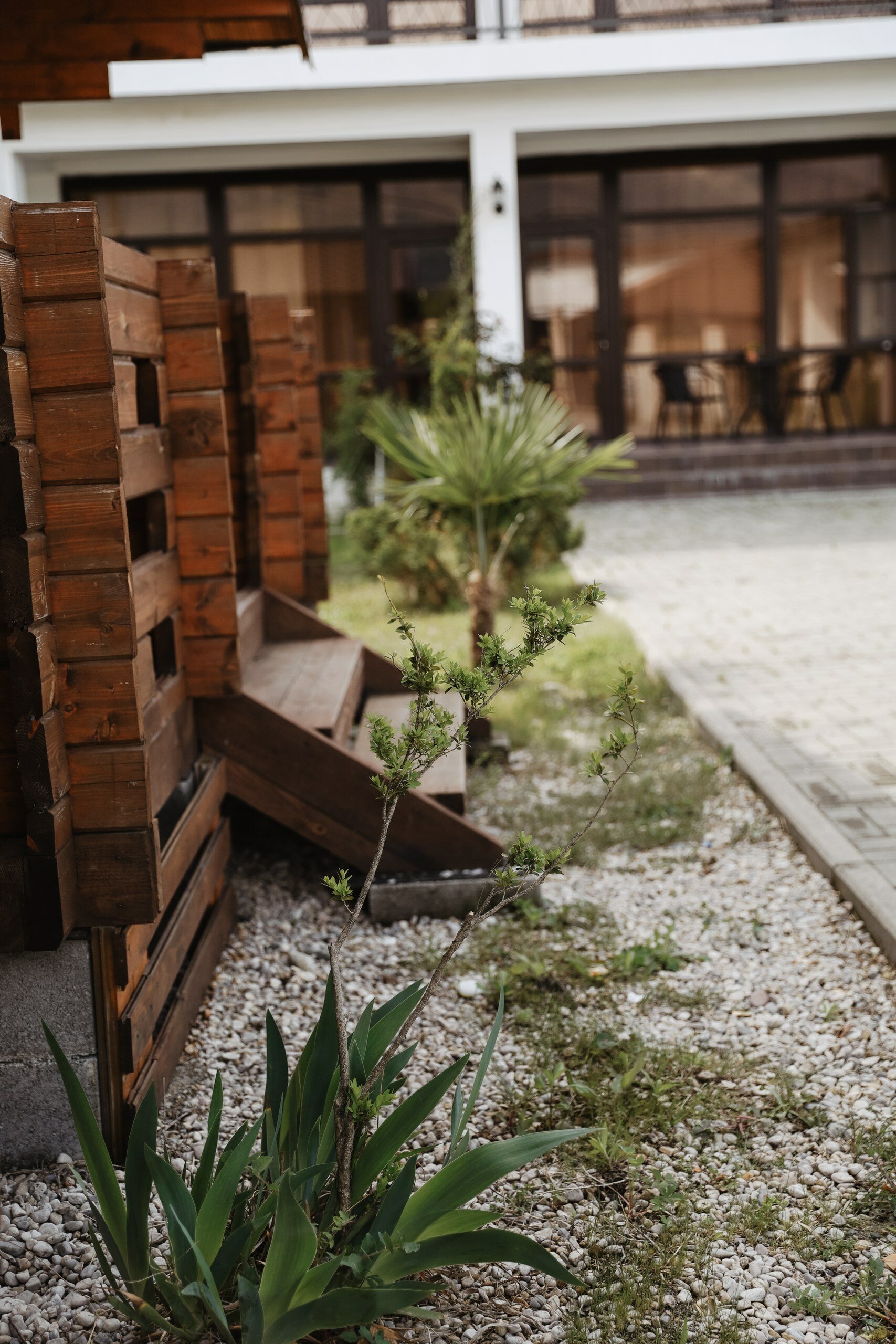 Фото Мини-отель Лея