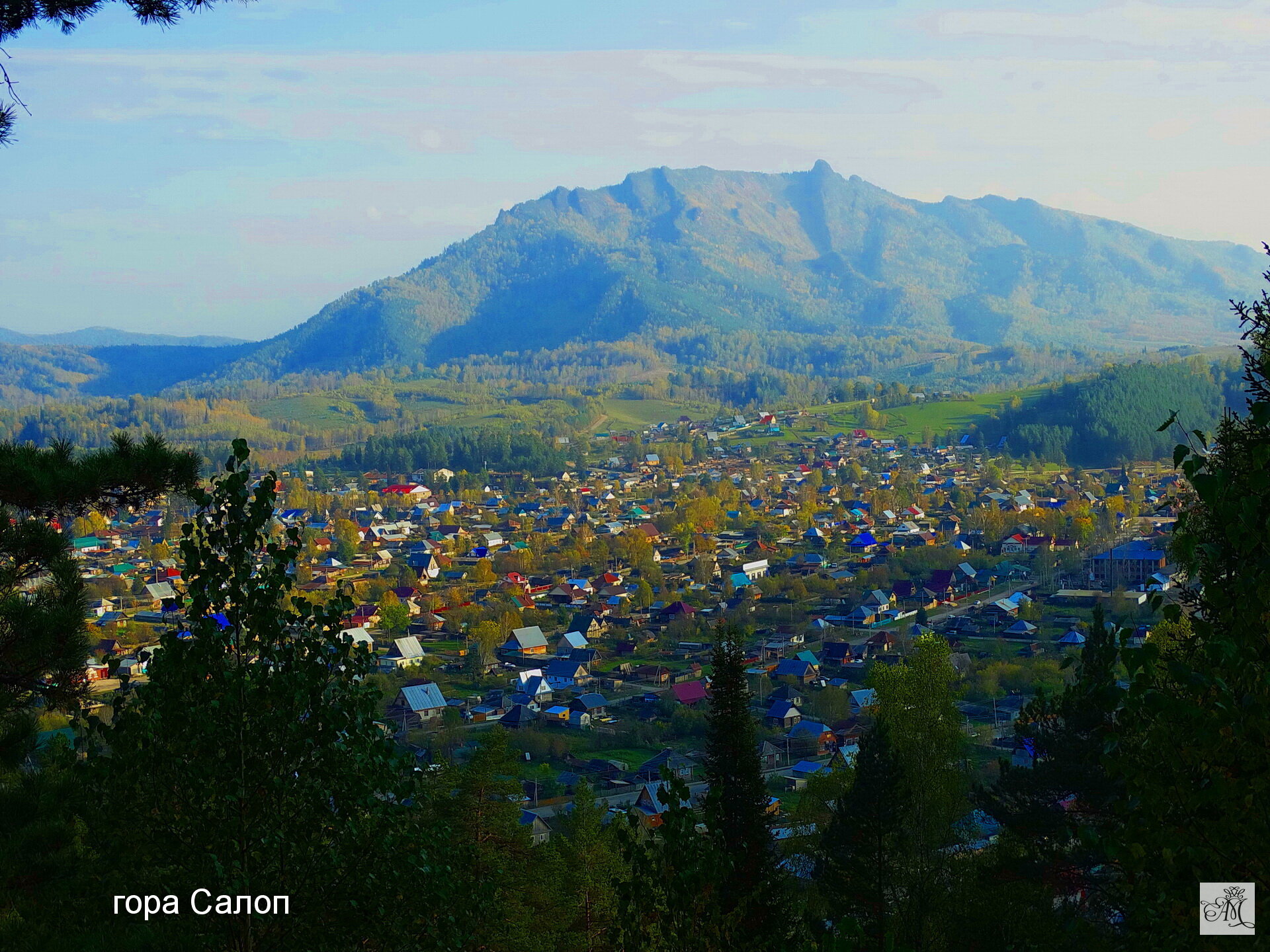 Фото Усадьба Лебедь