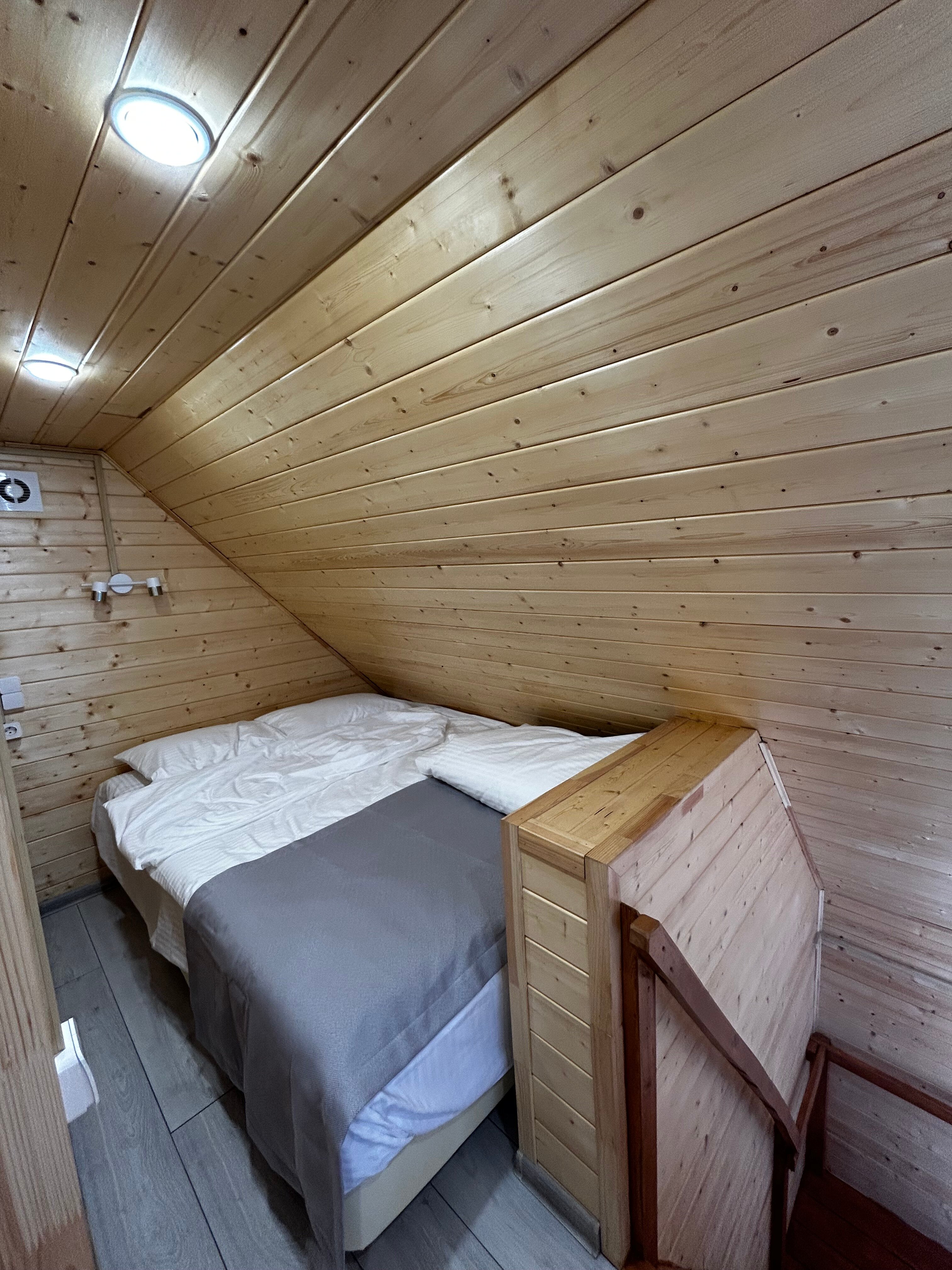 Фото Багульник