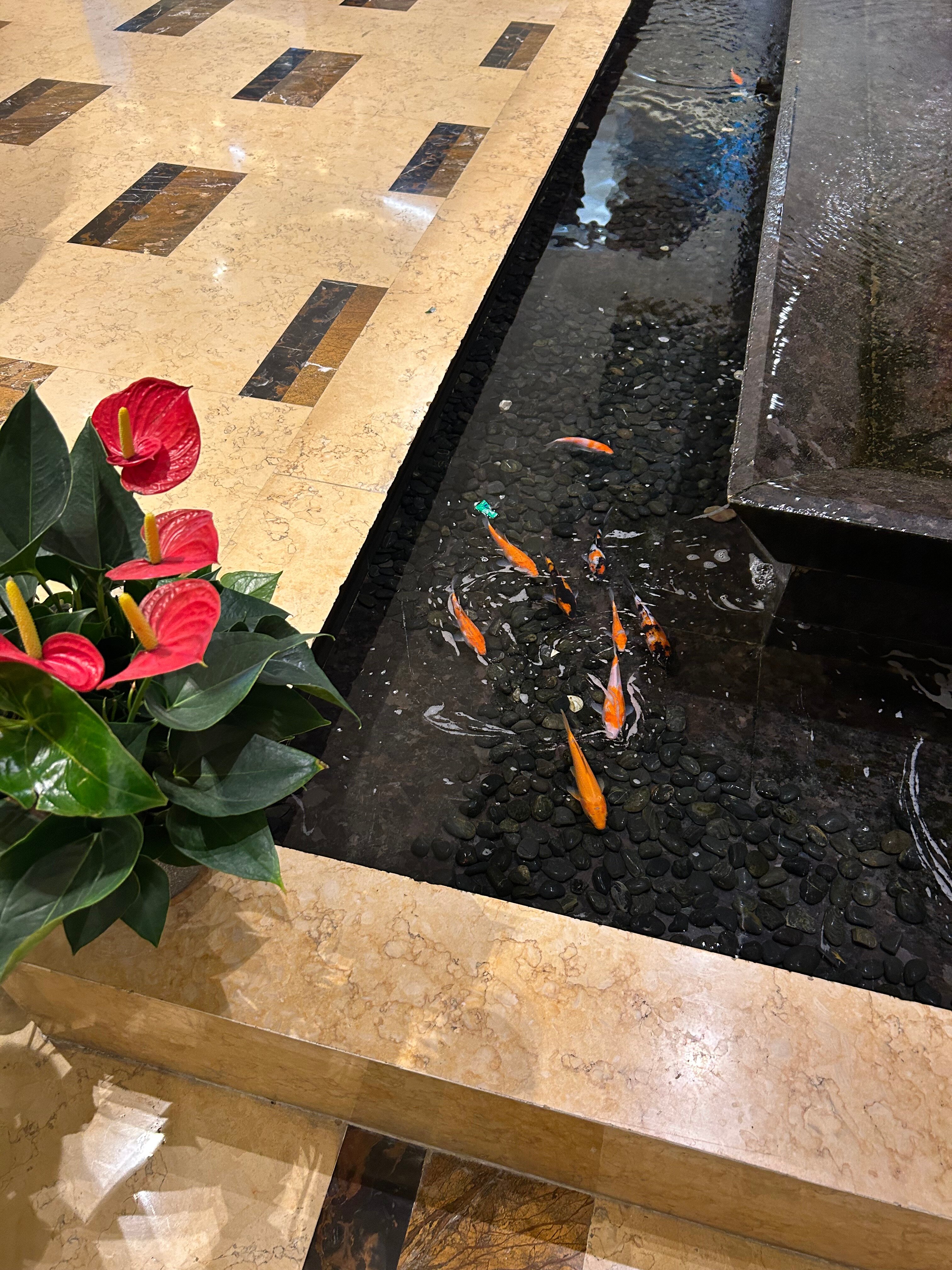 Фото Lake View Hotel