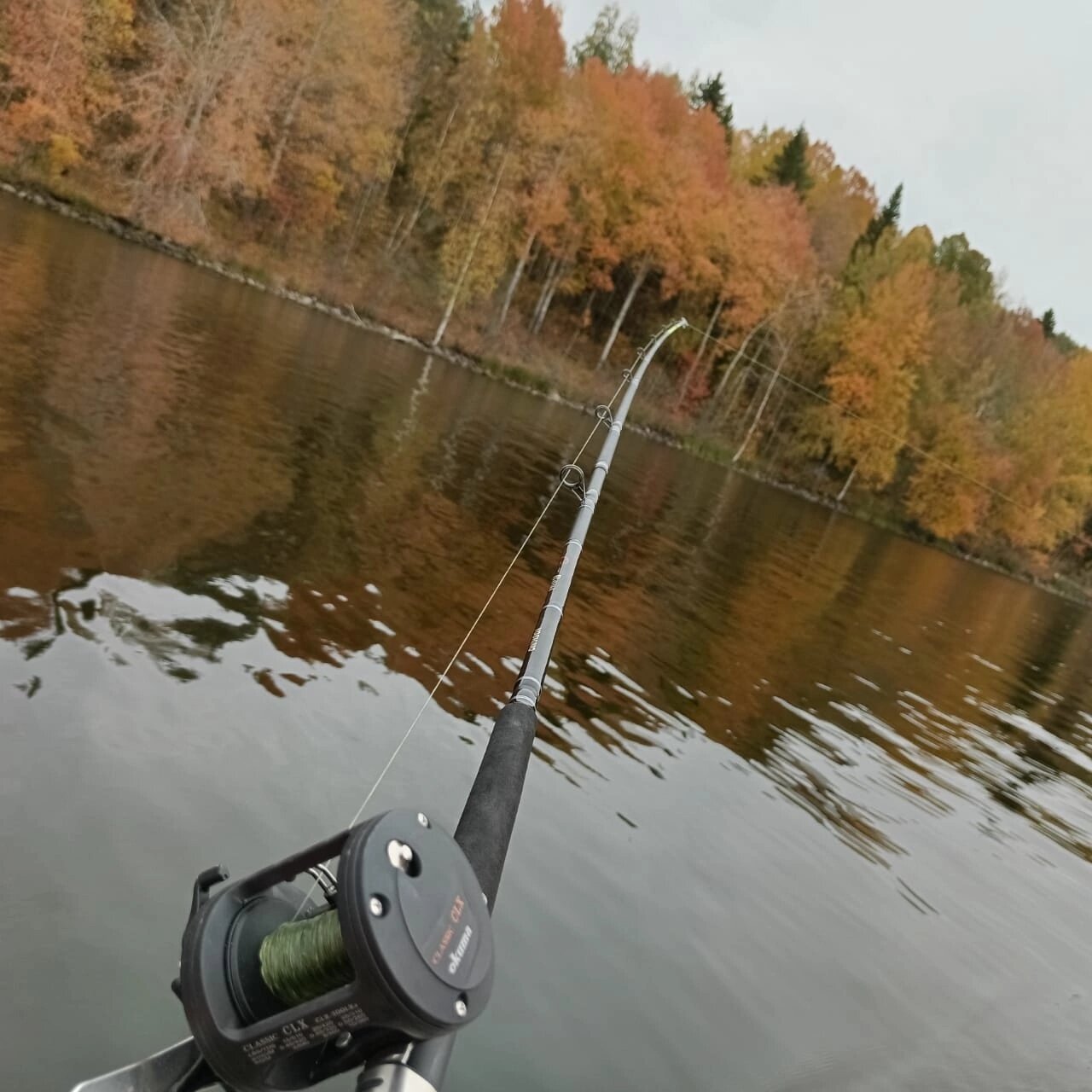 Фото Вилла Ялгуба