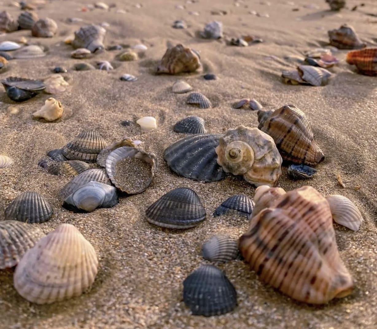 Фото Гостевой дом Тургенева 188