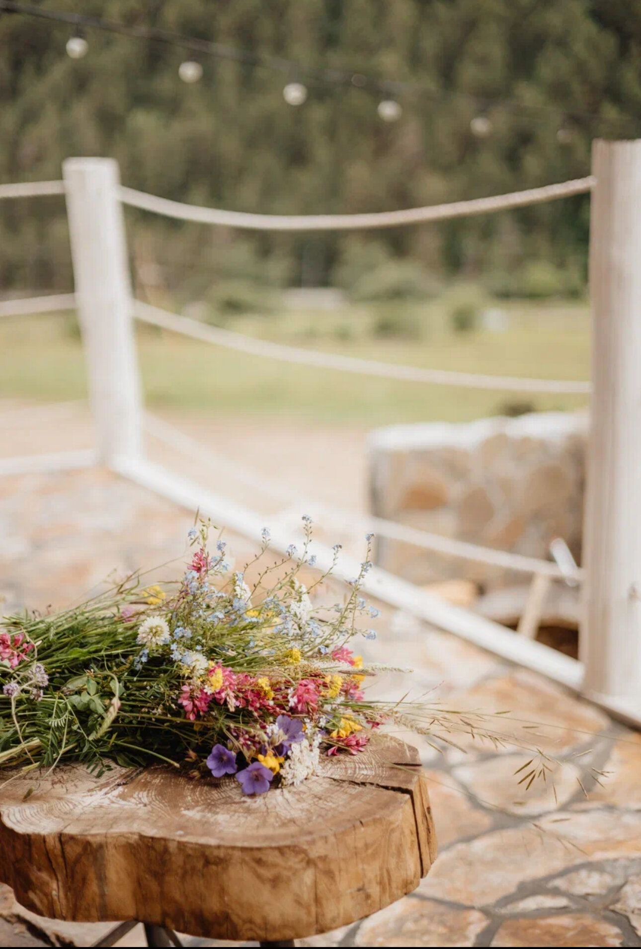 Фото Блэк Поинт