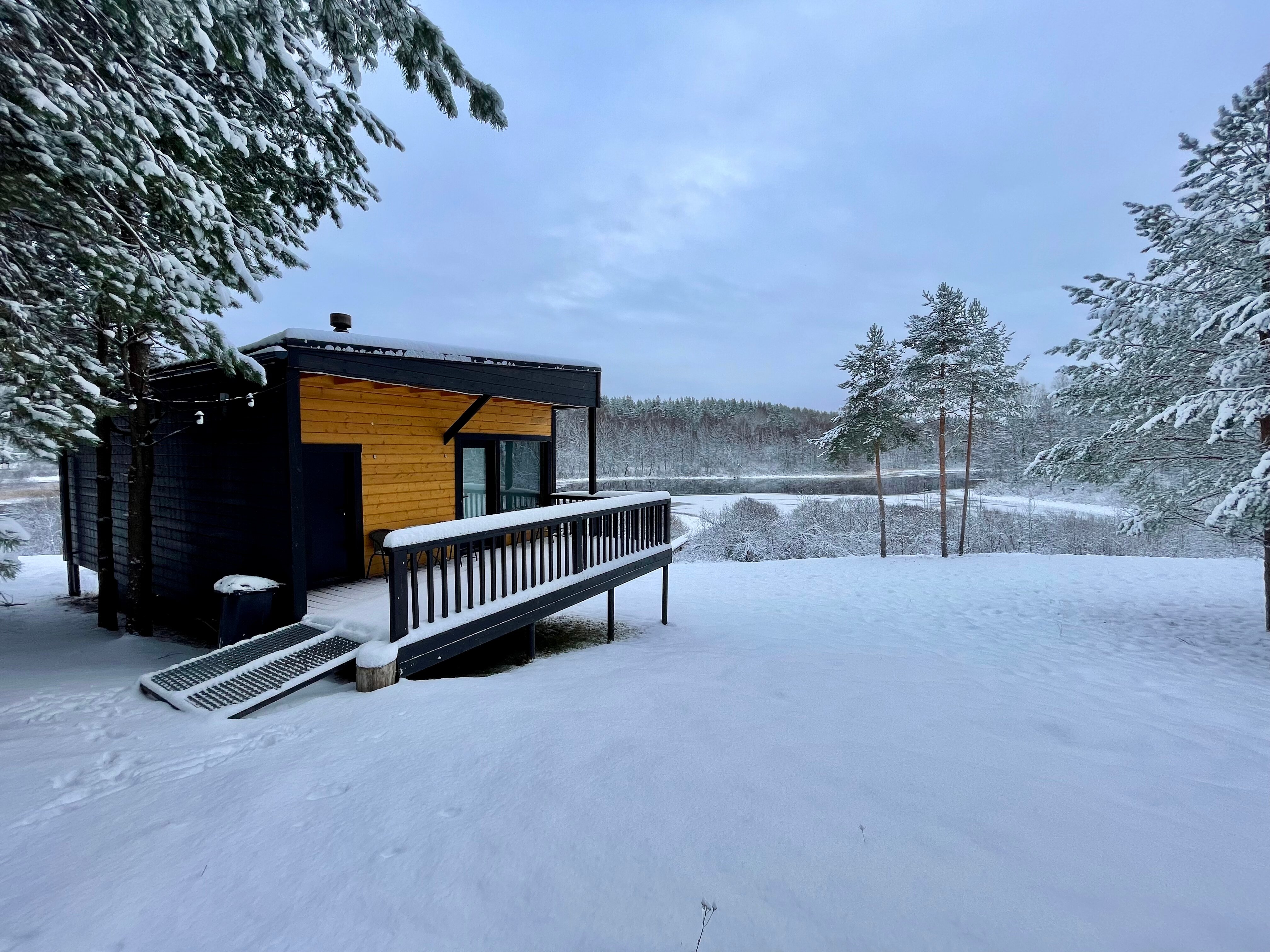 Фото Дом в лесу Холмово