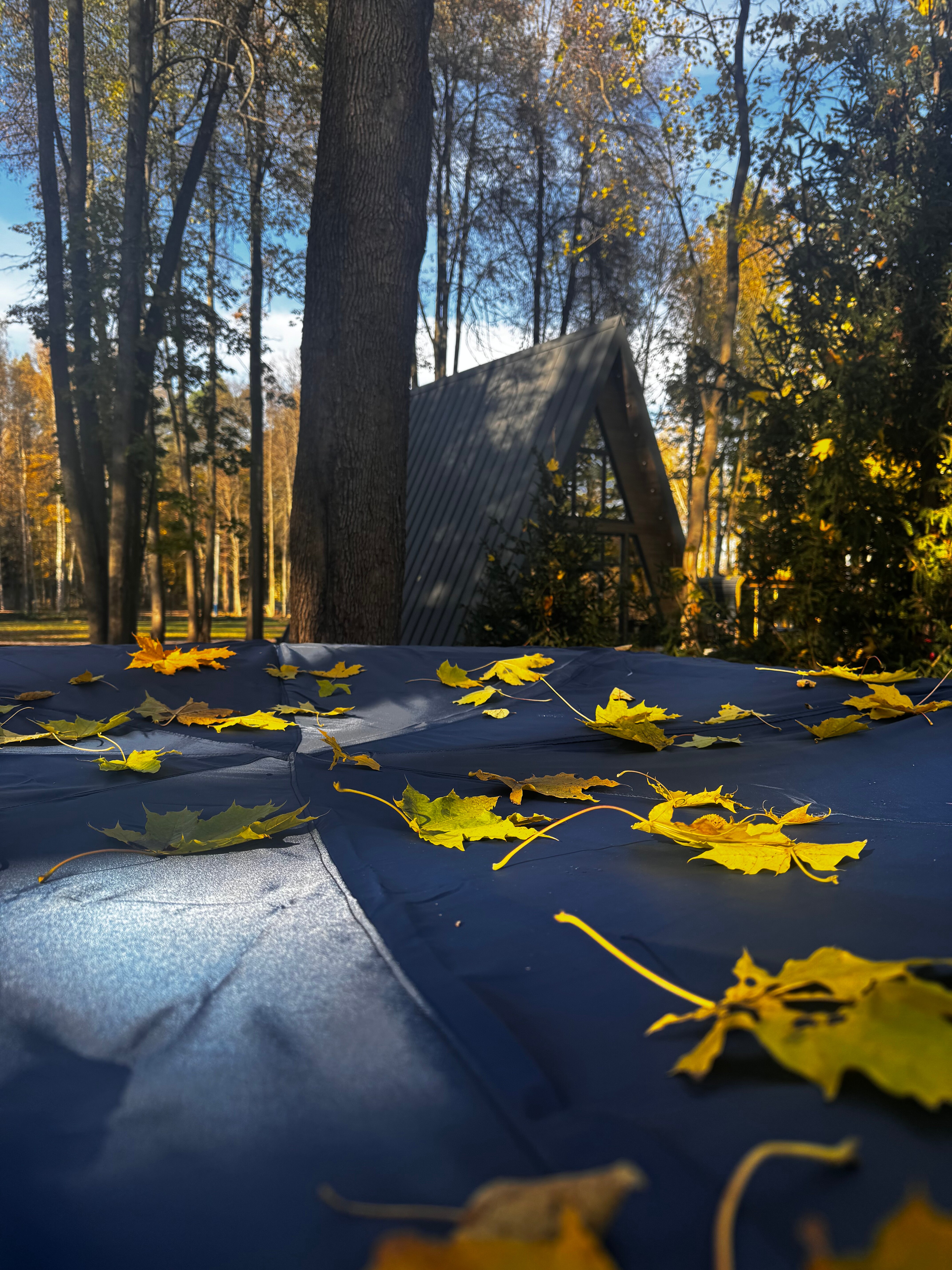 Фото Берега