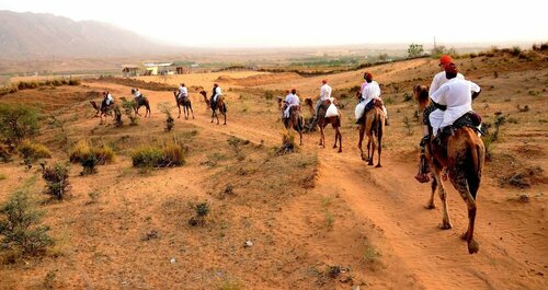 Гостиница Pushkar Adventure Desert Camp
