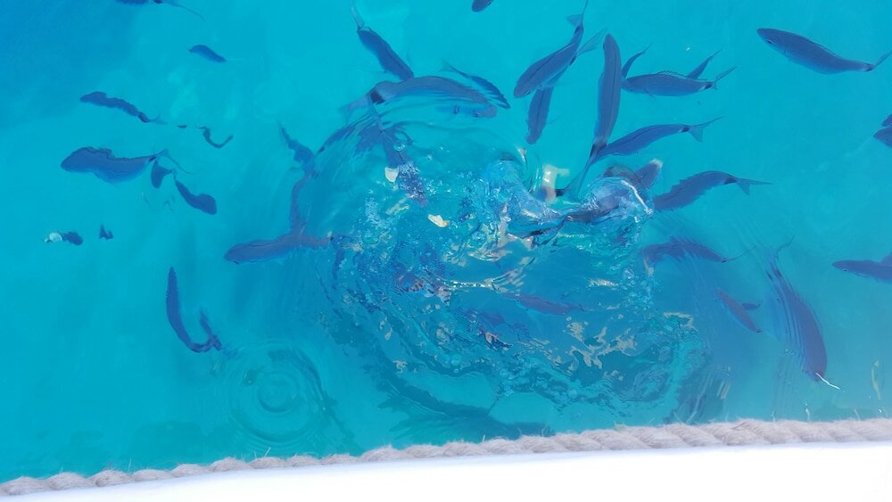 Фото Il Vicolo B&b