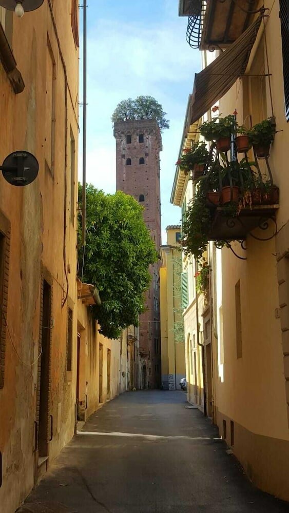 Фото Perle d'Ambra