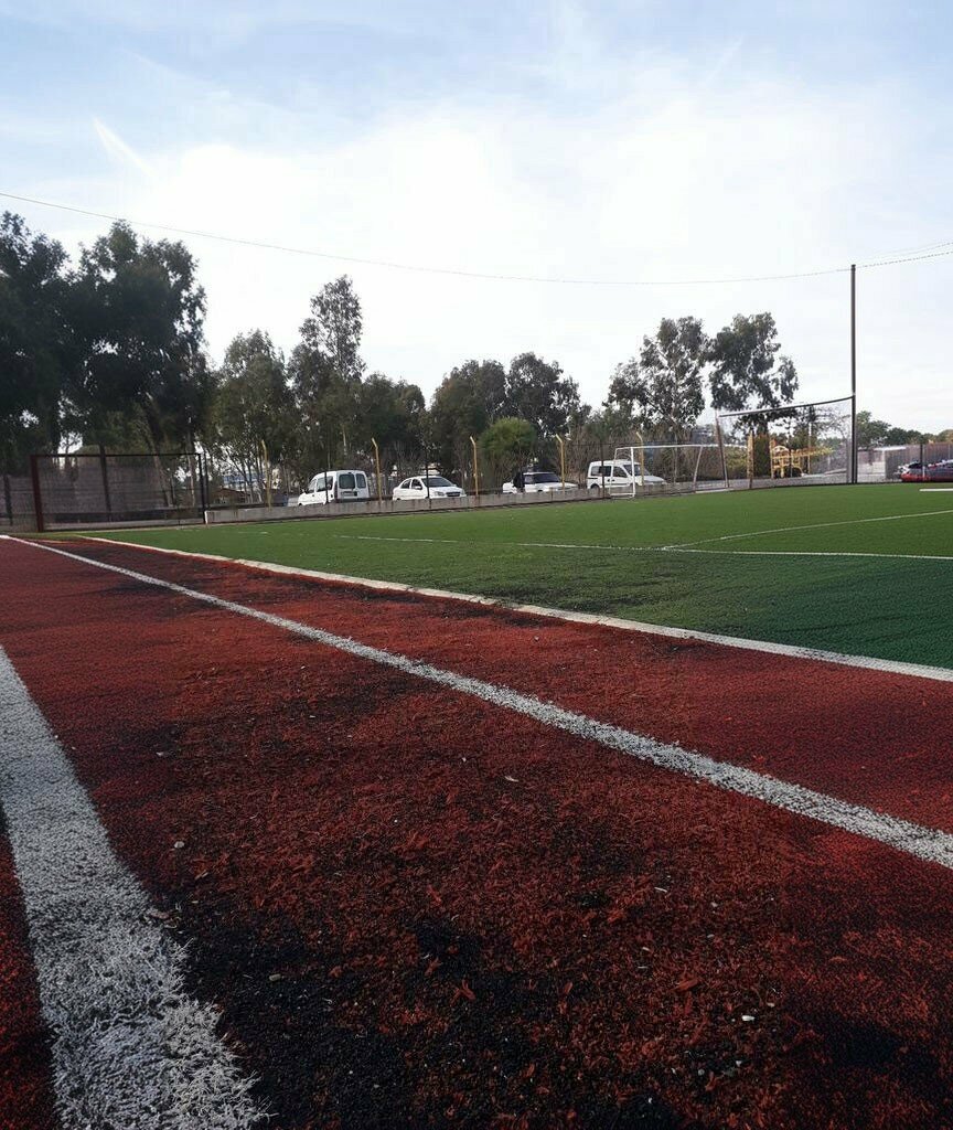 Sports ground Izmir Sasali Football Field, Izmir, photo