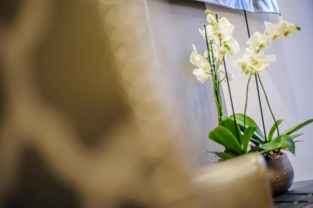 Фото The Hide London