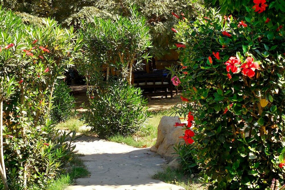 Фото Hotel Sheherazade