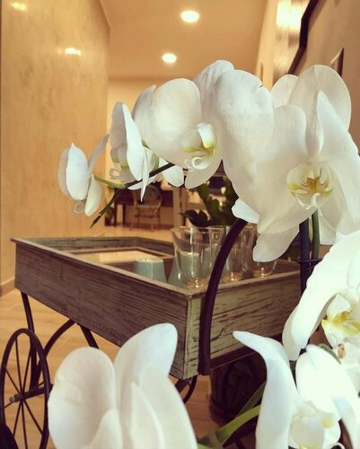 Гостиница Isolabella B&b