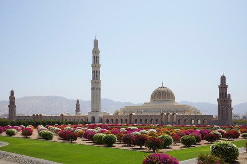 Гостиница Royal Tulip Muscat в Баушаре