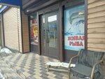 Fish #1 (Kulatov Street, 1Б), fish and seafood