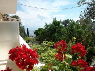 Фото Roza Studios