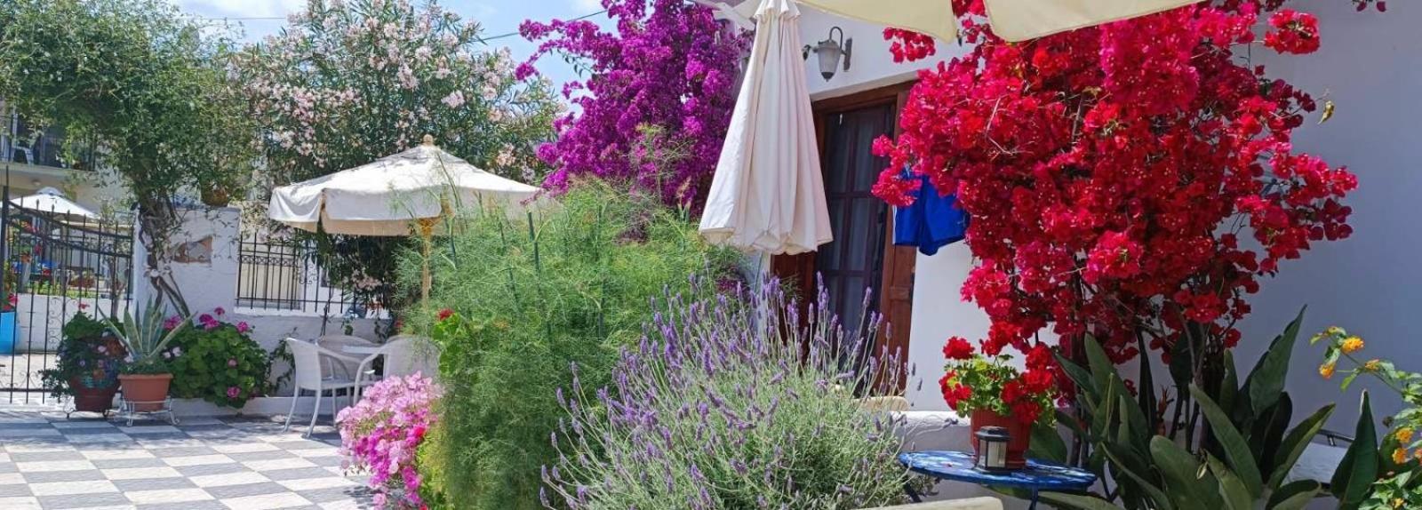 Фото Апартаменты Amalthia Studios