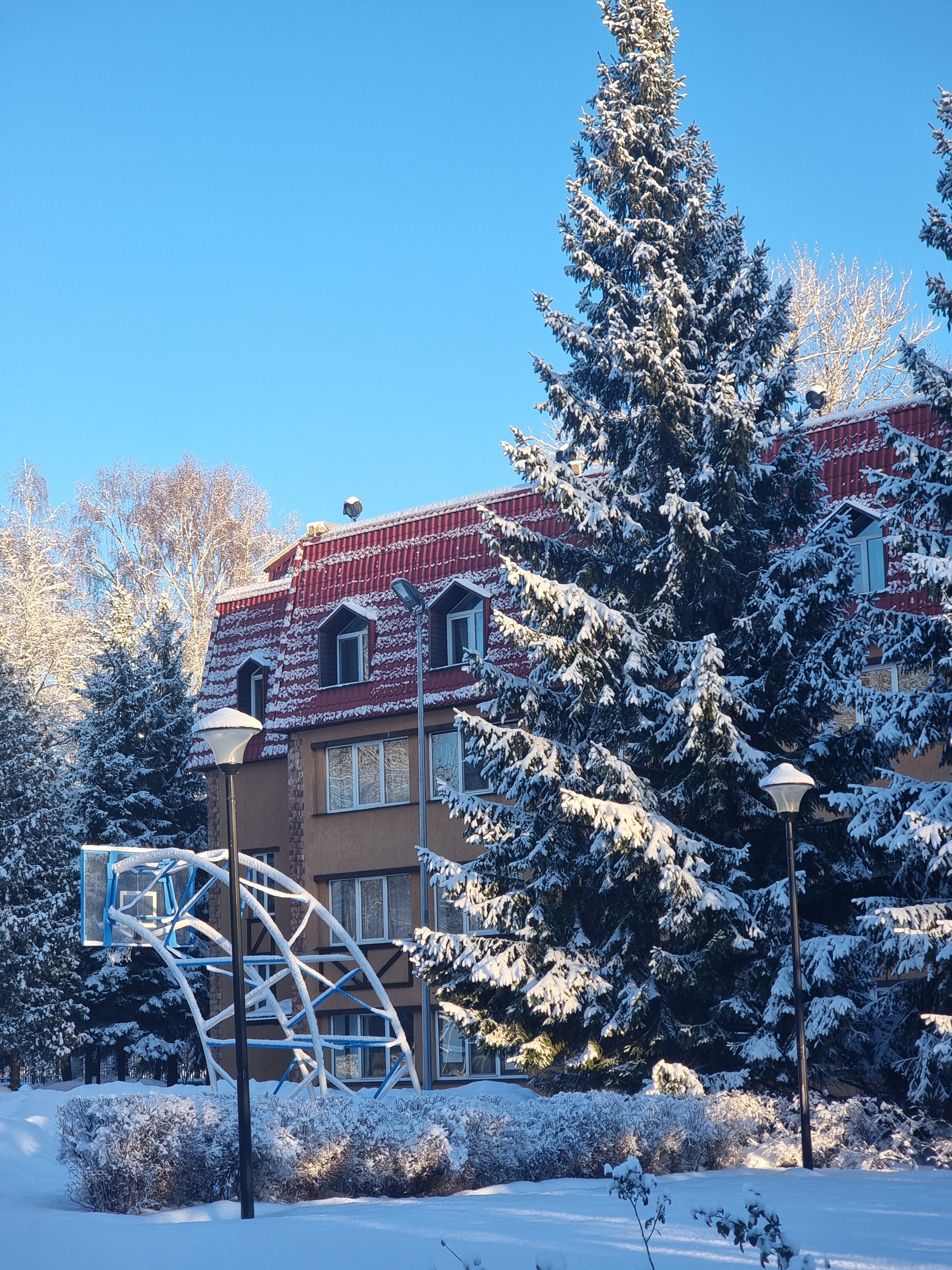 Фото Искра