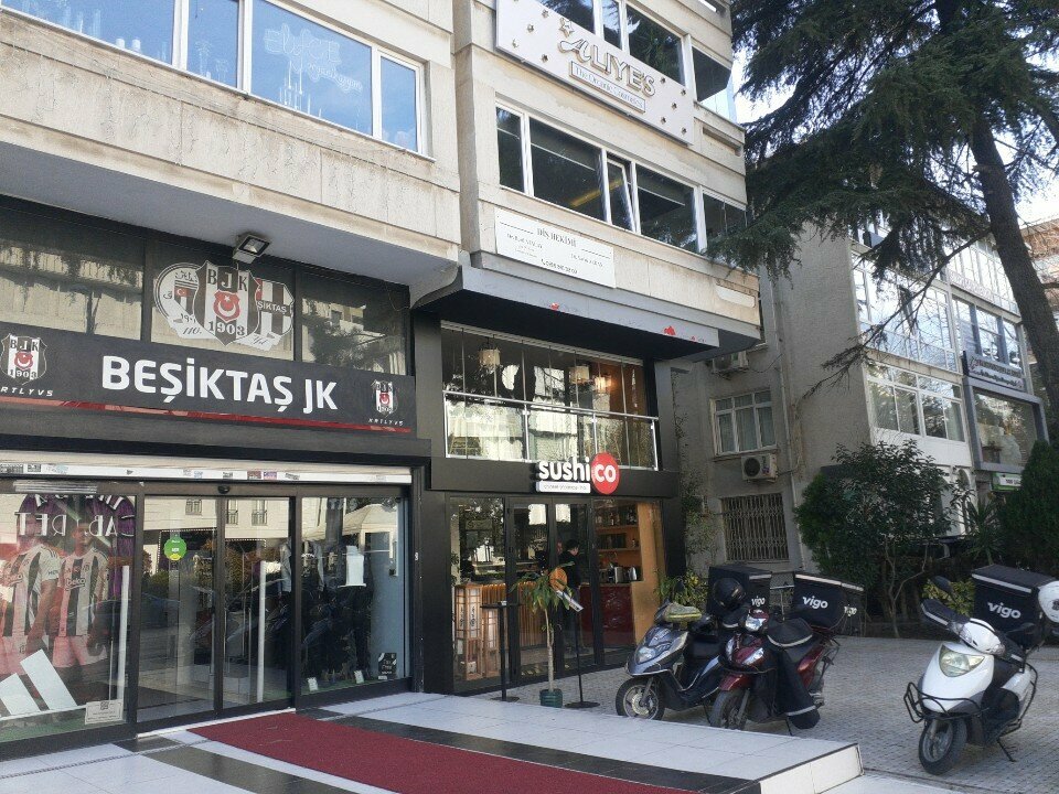 Private practice doctors Dr. Yavuz Alkan, Istanbul, photo