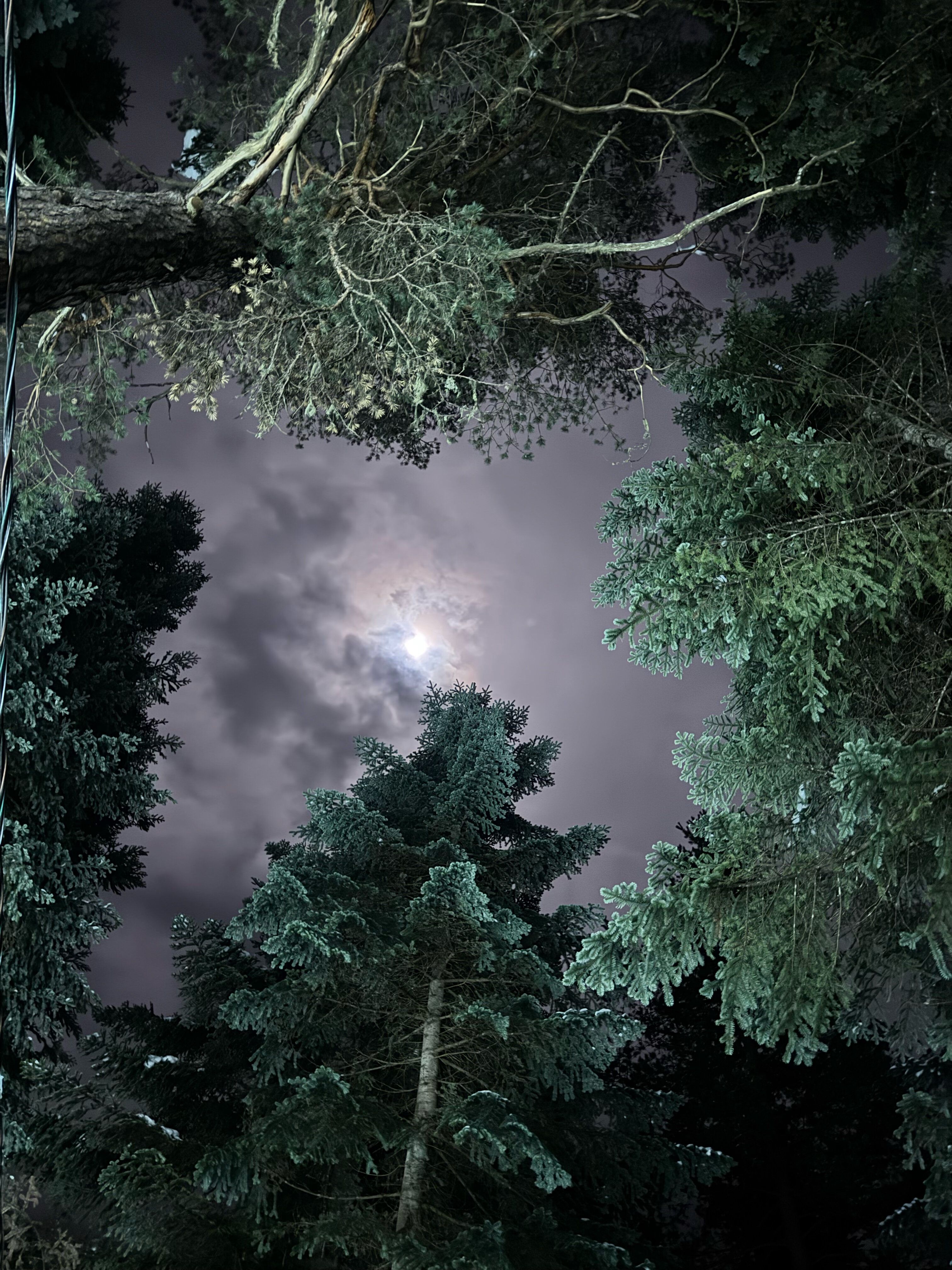 Фото Gorskiy Club