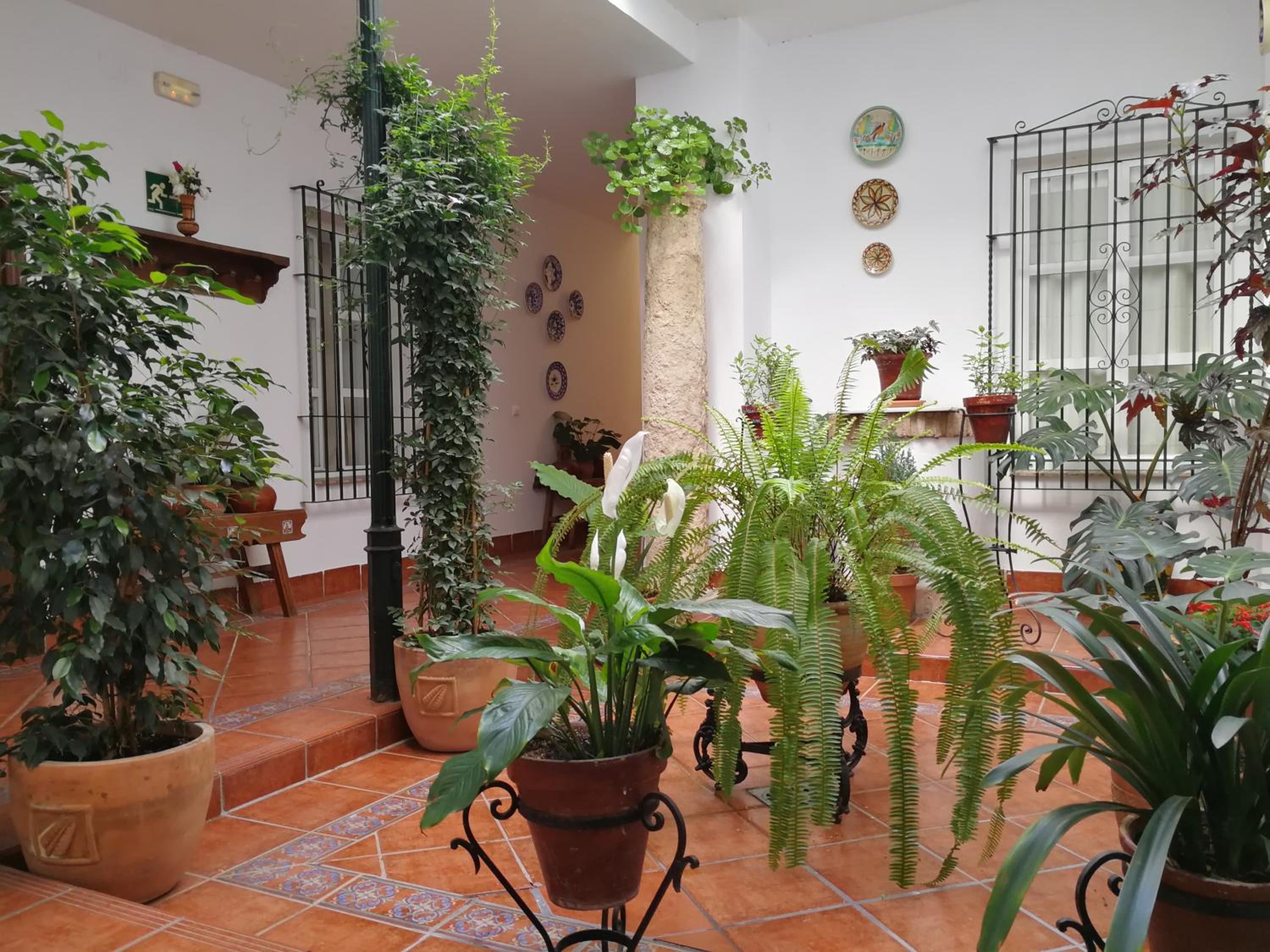 Фото Hotel Maestre