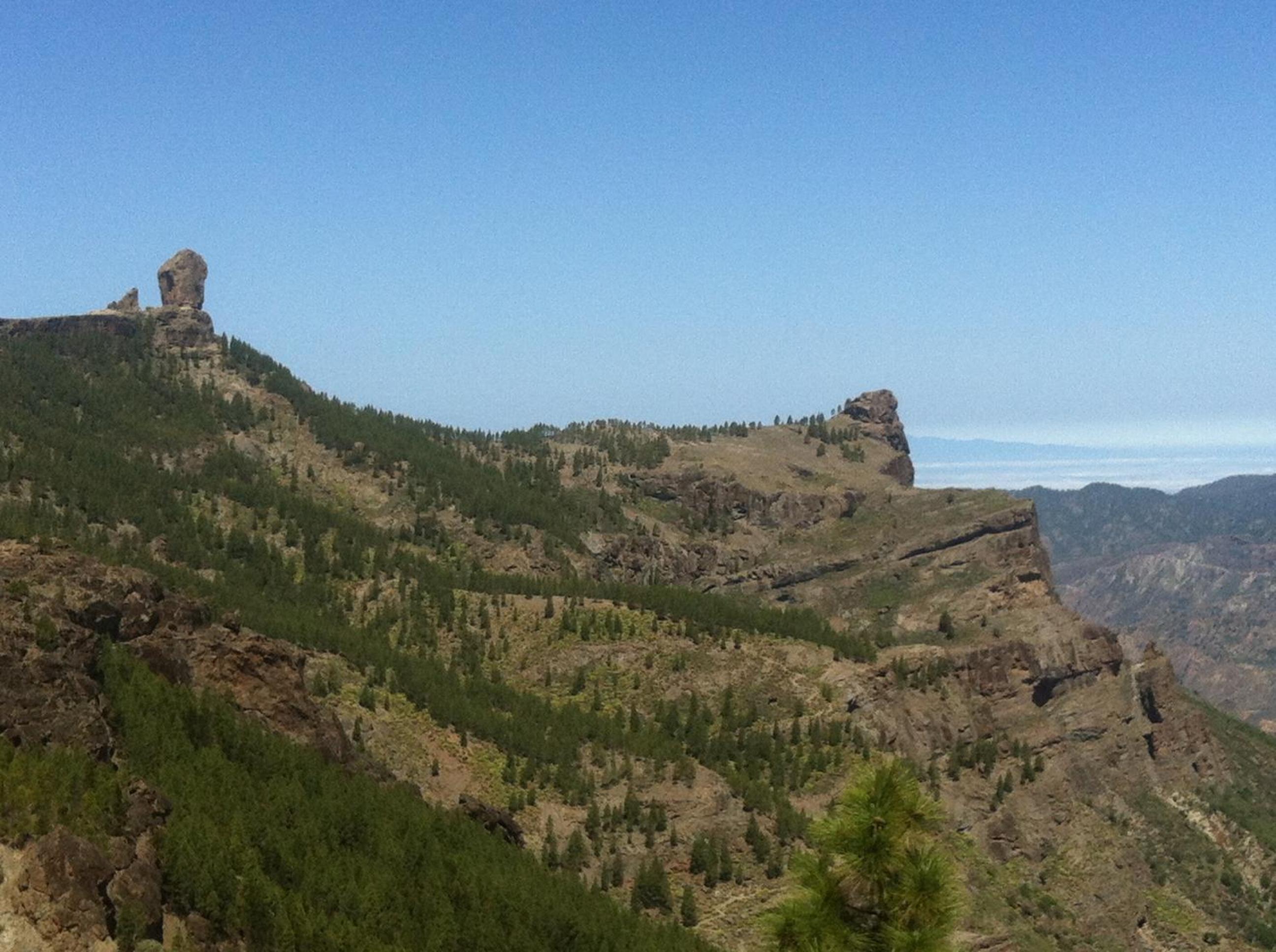 Фото Apartamentos Brisamar Canteras