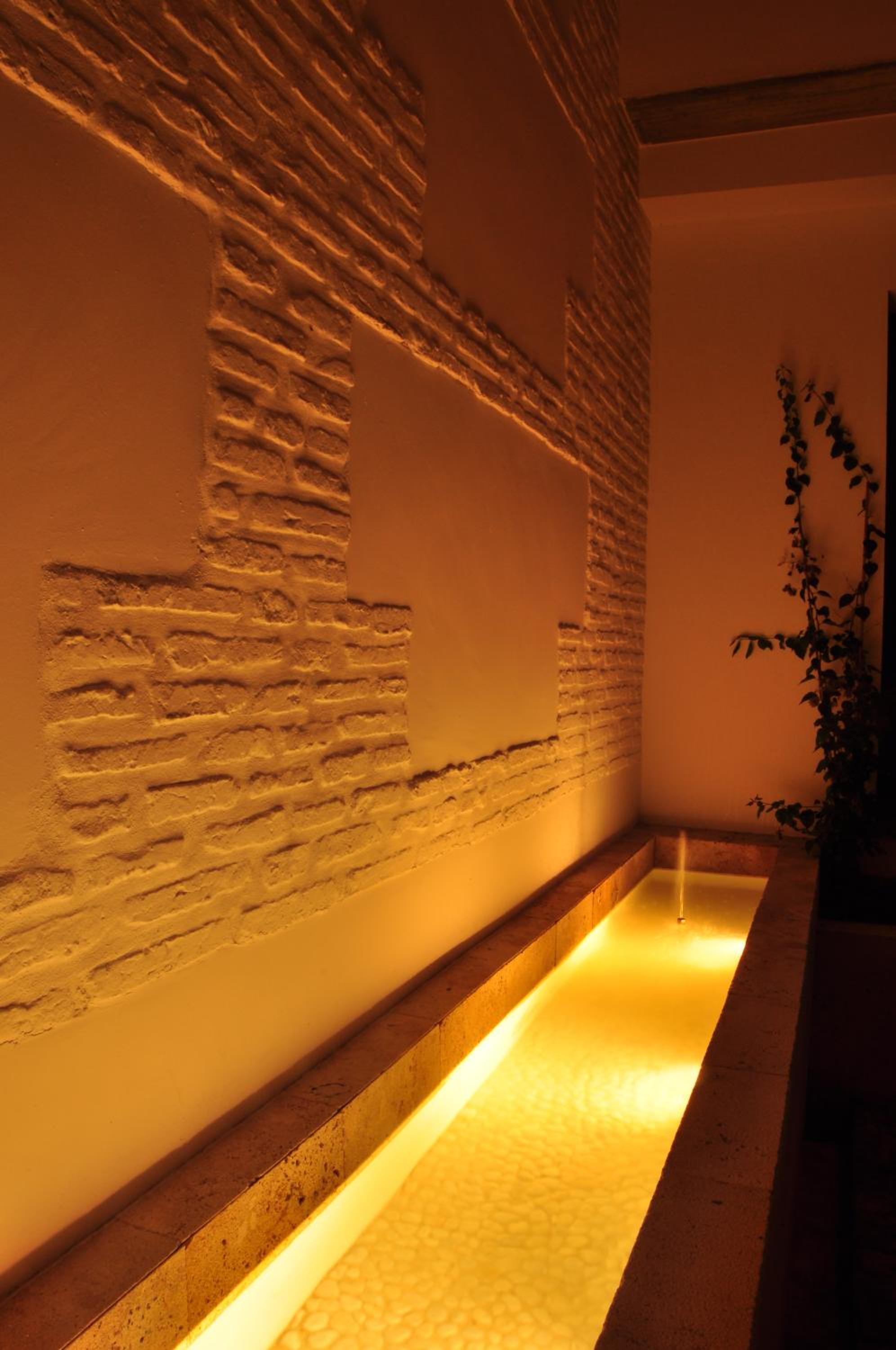 Фото Apartamentos Coronado