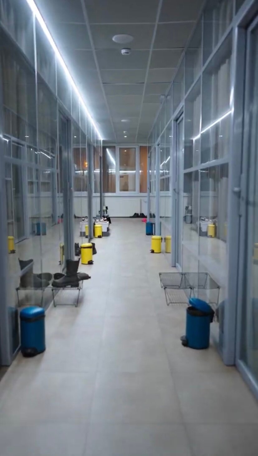 Фото Запятая