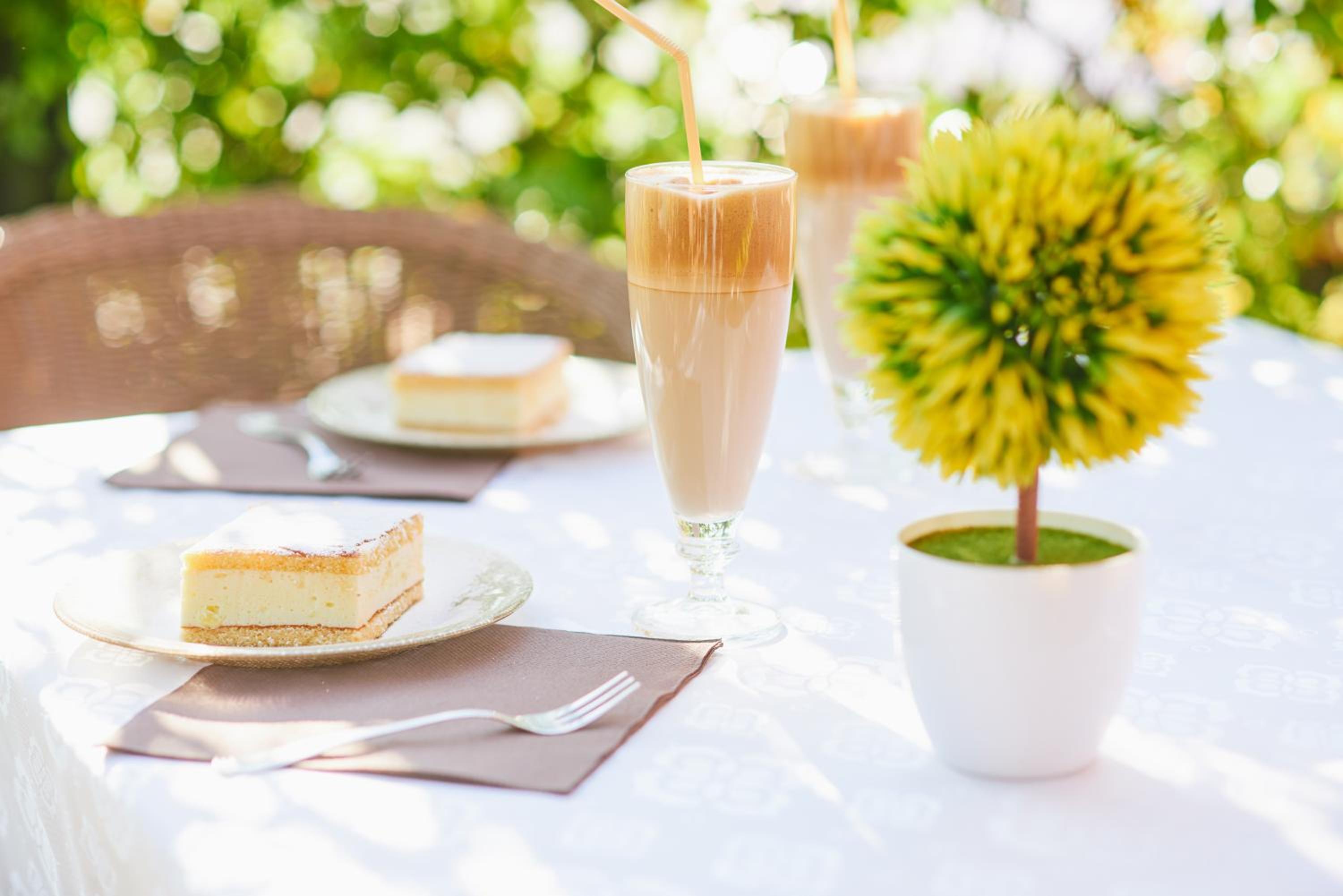 Фото Hotel Laguna