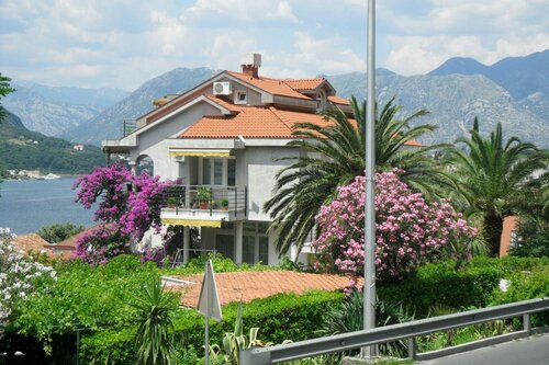 Гостиница Palma Apartments в Которе