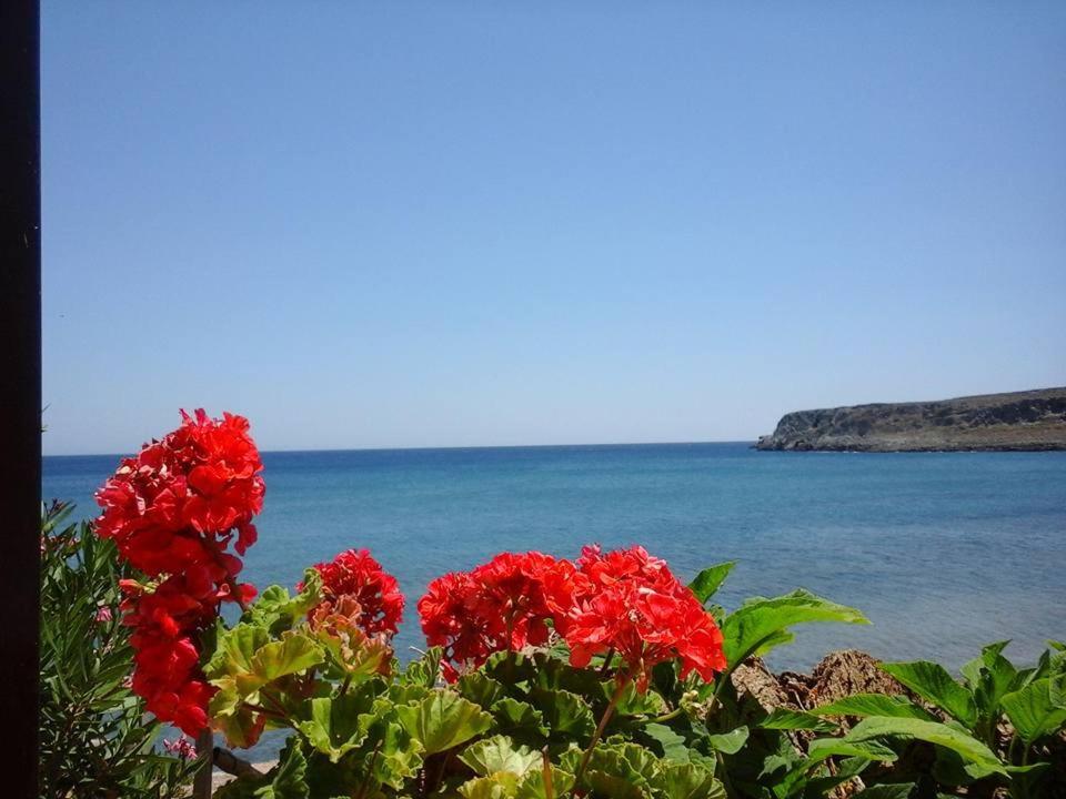 Фото Dimitra Apartments