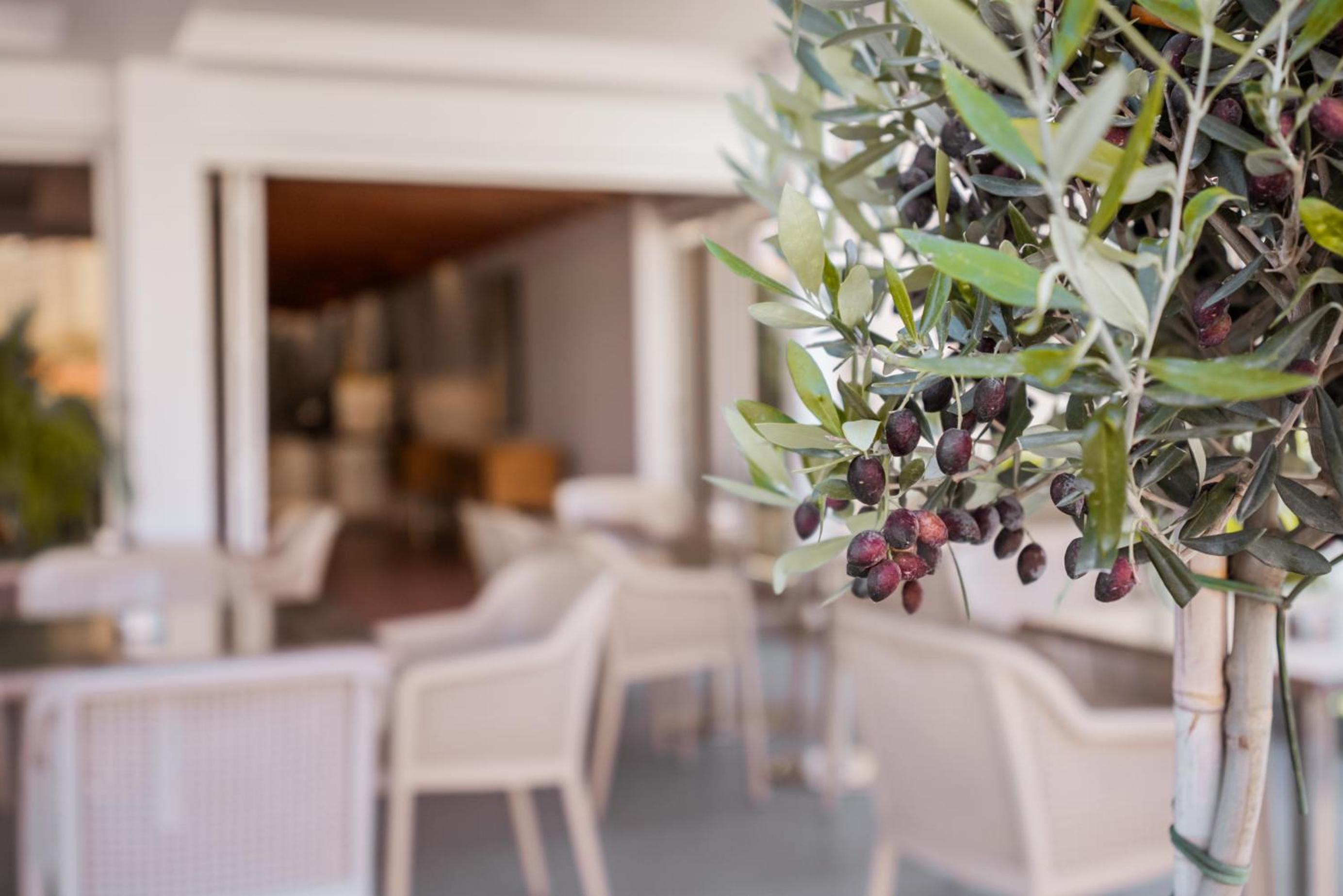 Фото Paul Marie Hotel Apartments