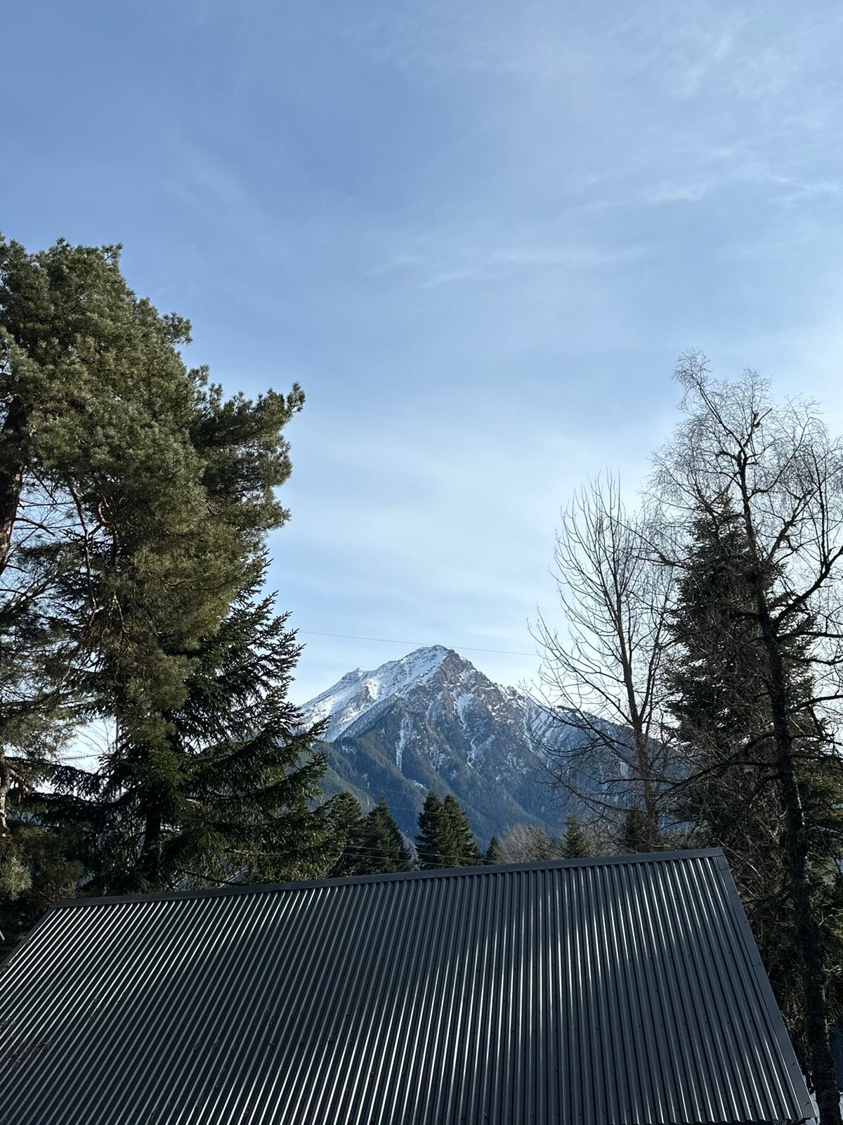 Фото Мимино