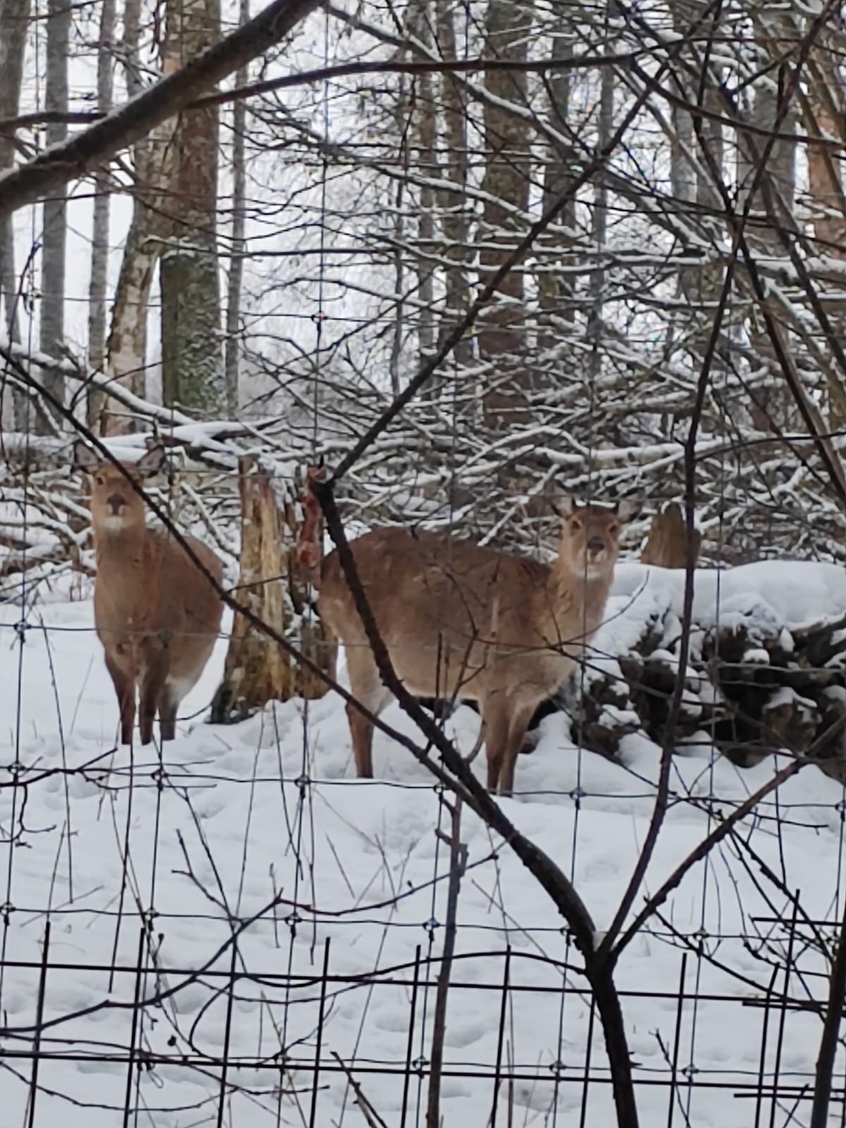 Фото Место Силы