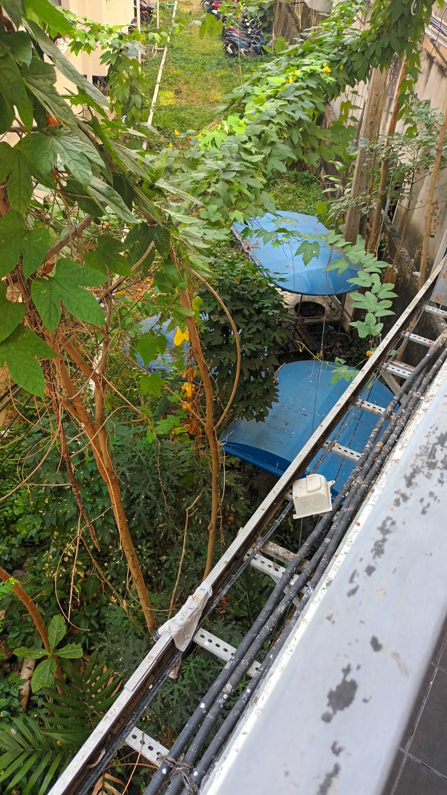 Фото Zephyr Grand Hotel