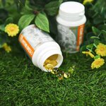 Форс Груп (Táýke Han dańǵyly, 2А), phytoproducts, dietary supplements