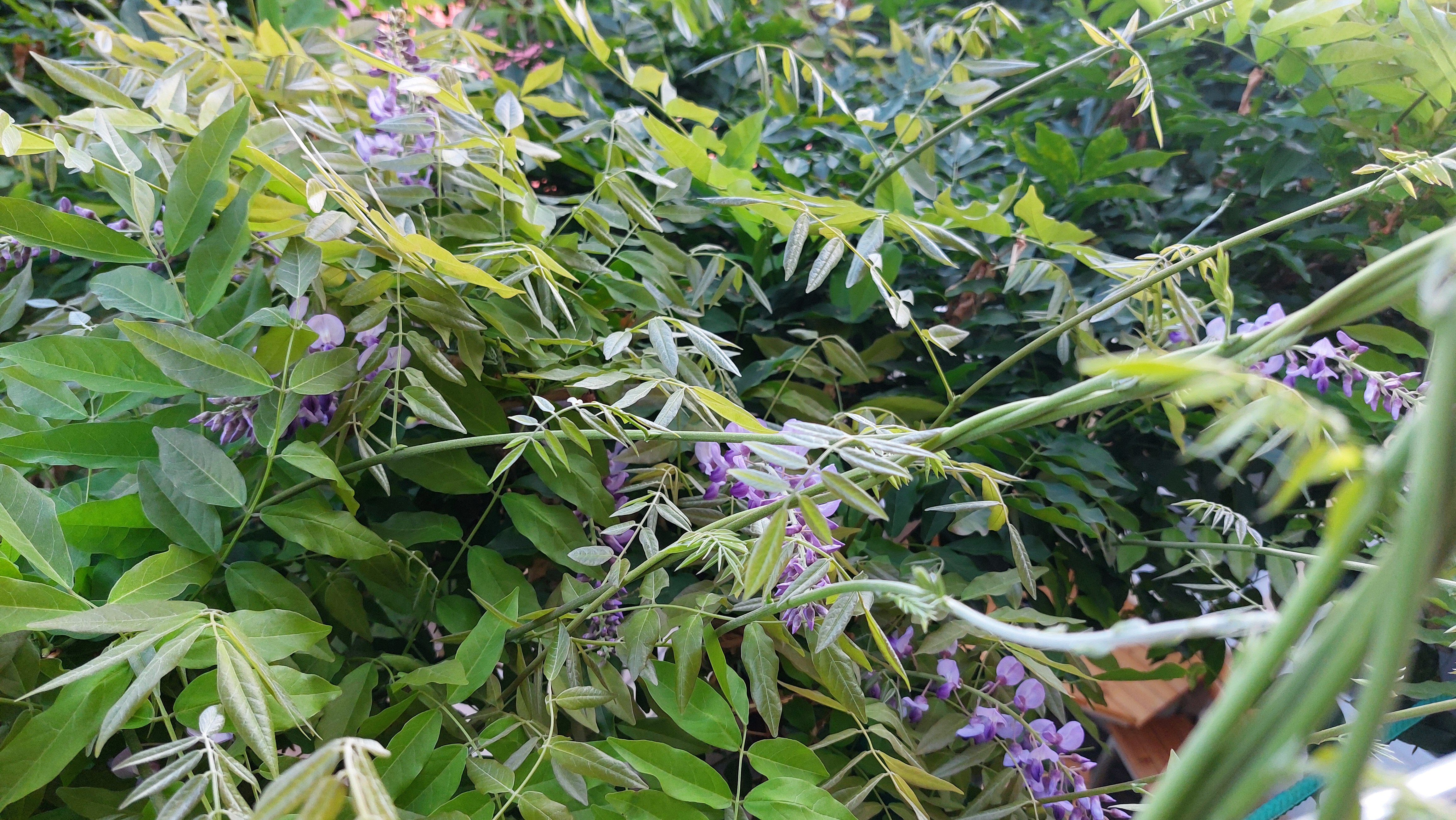 Фото Наш дом