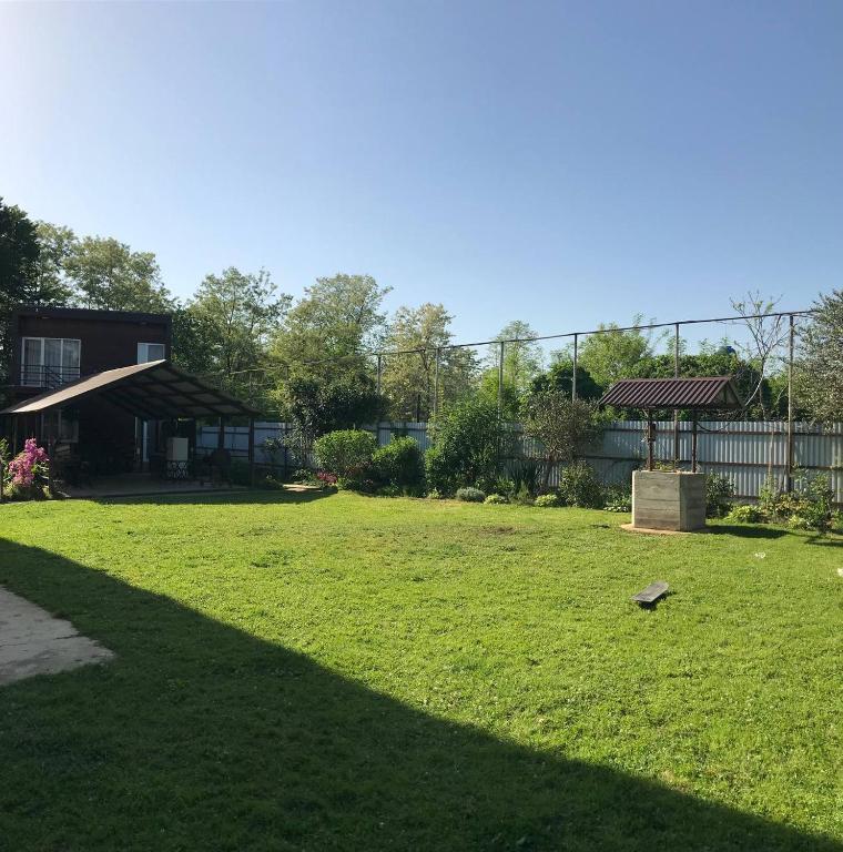 Фото Эвкалипт