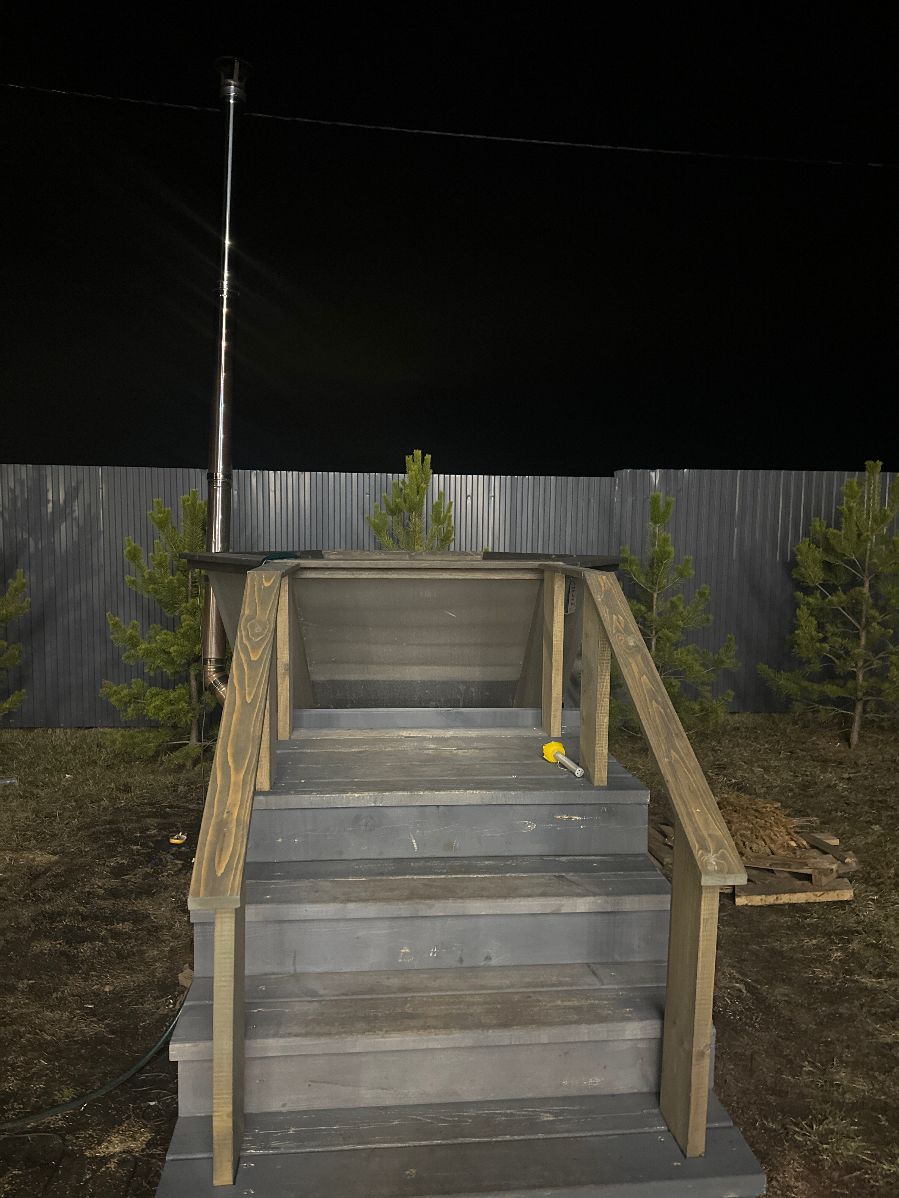 Фото Пар и сосны