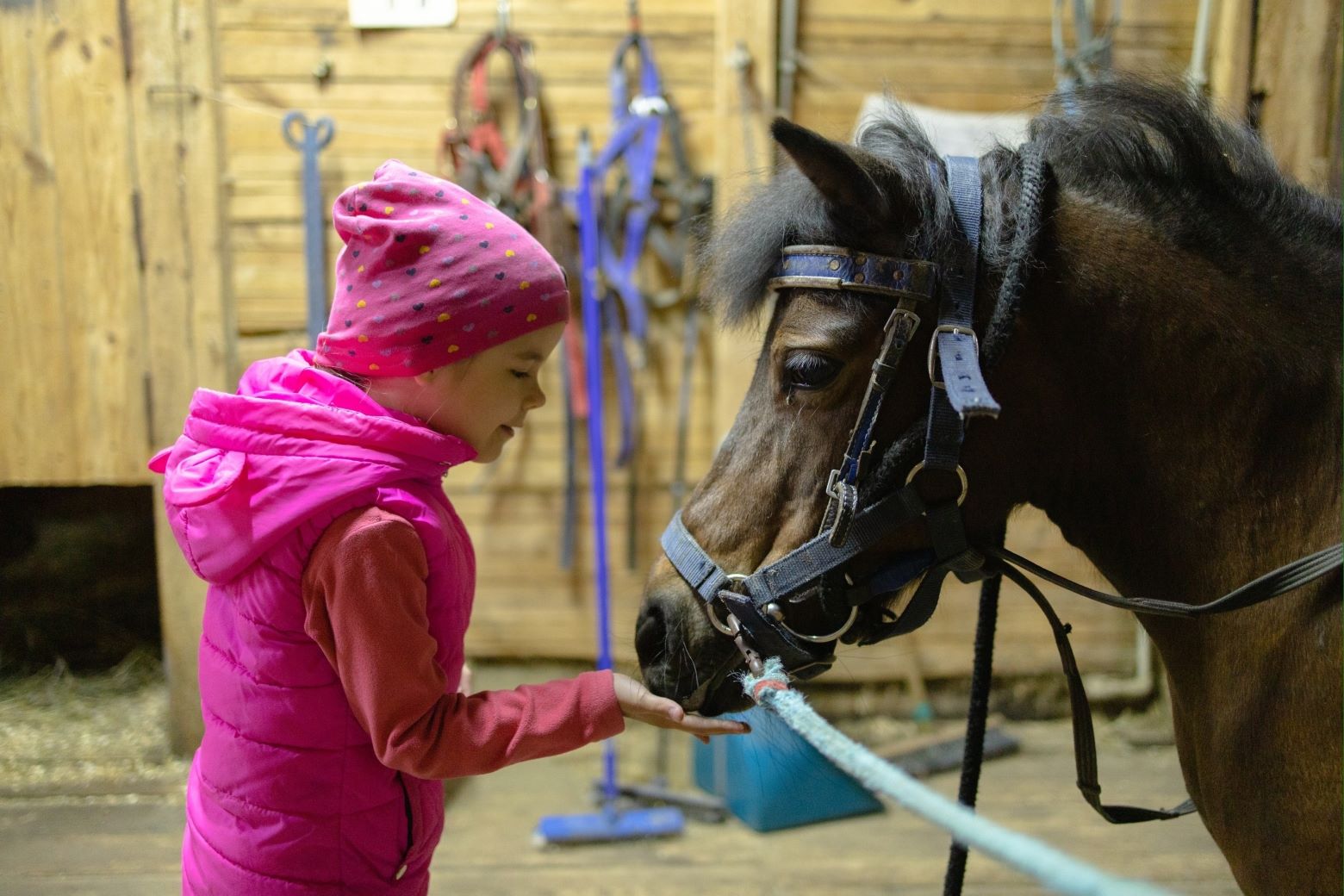 Фото Горыныч