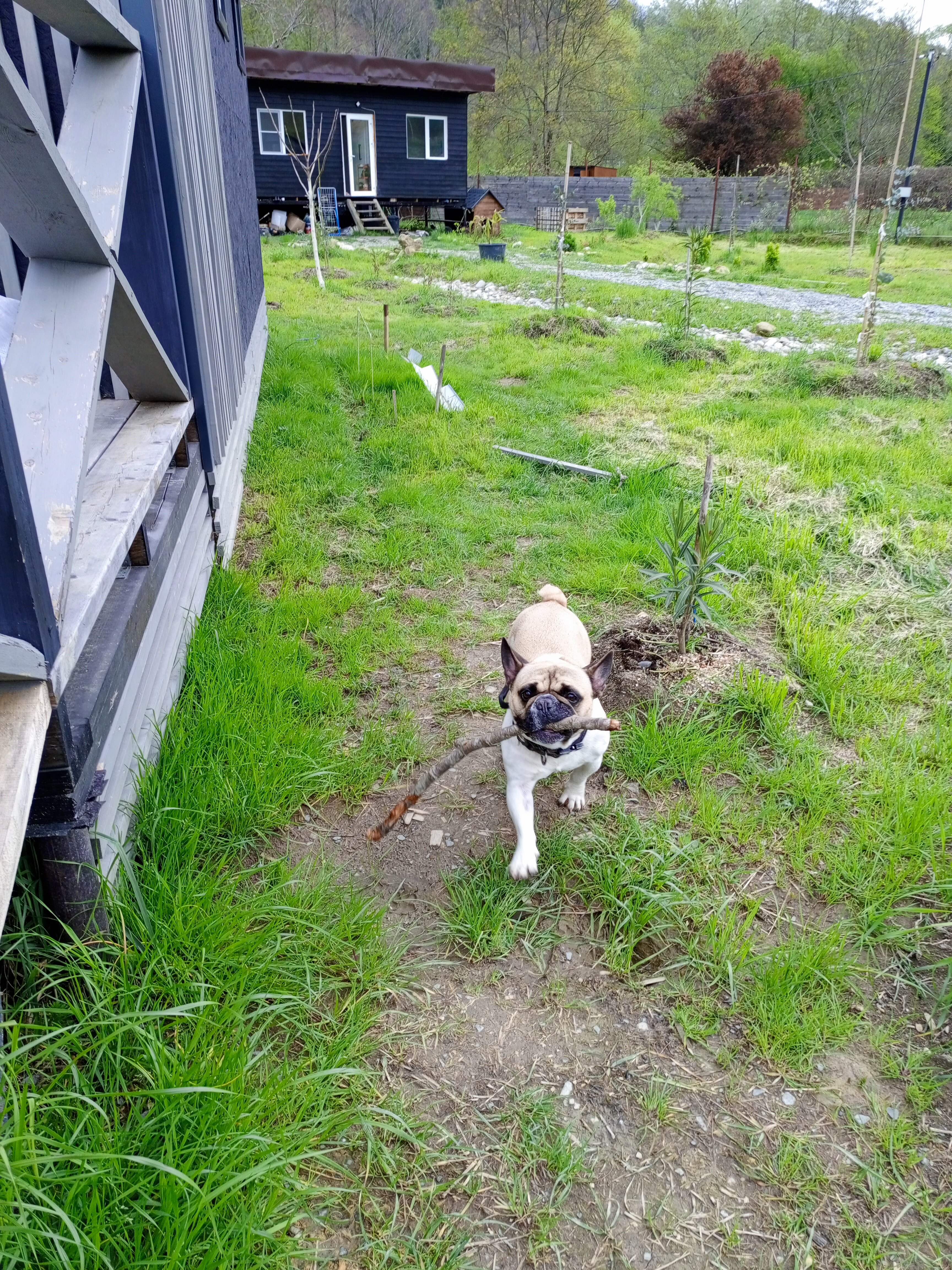 Фото Сад чудес