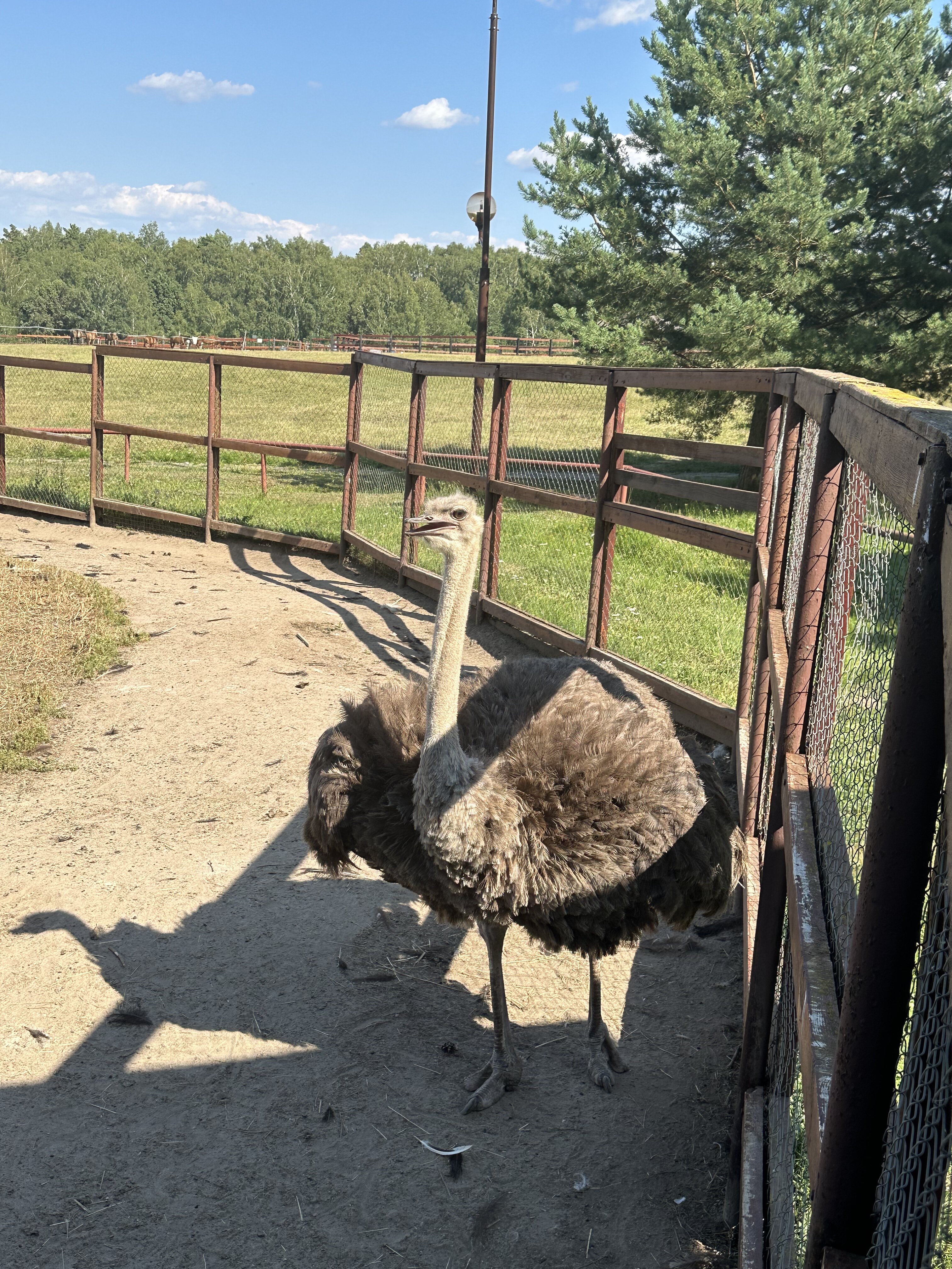 Фото Дубль Дачи Капитан
